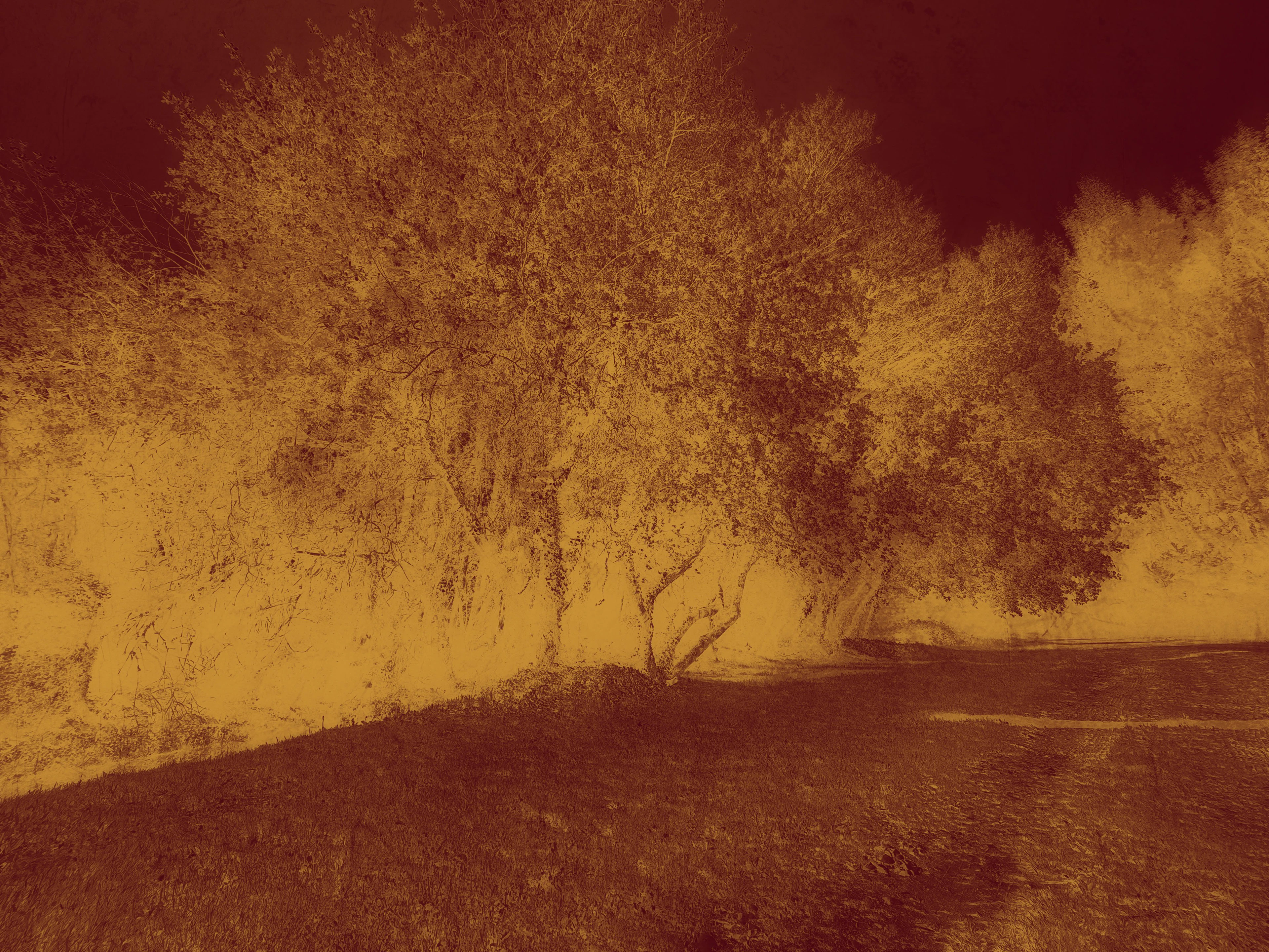 Echoes in Gold IV - Viet Ha Tran