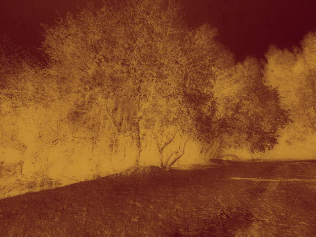 Echoes in Gold IV - Viet Ha Tran