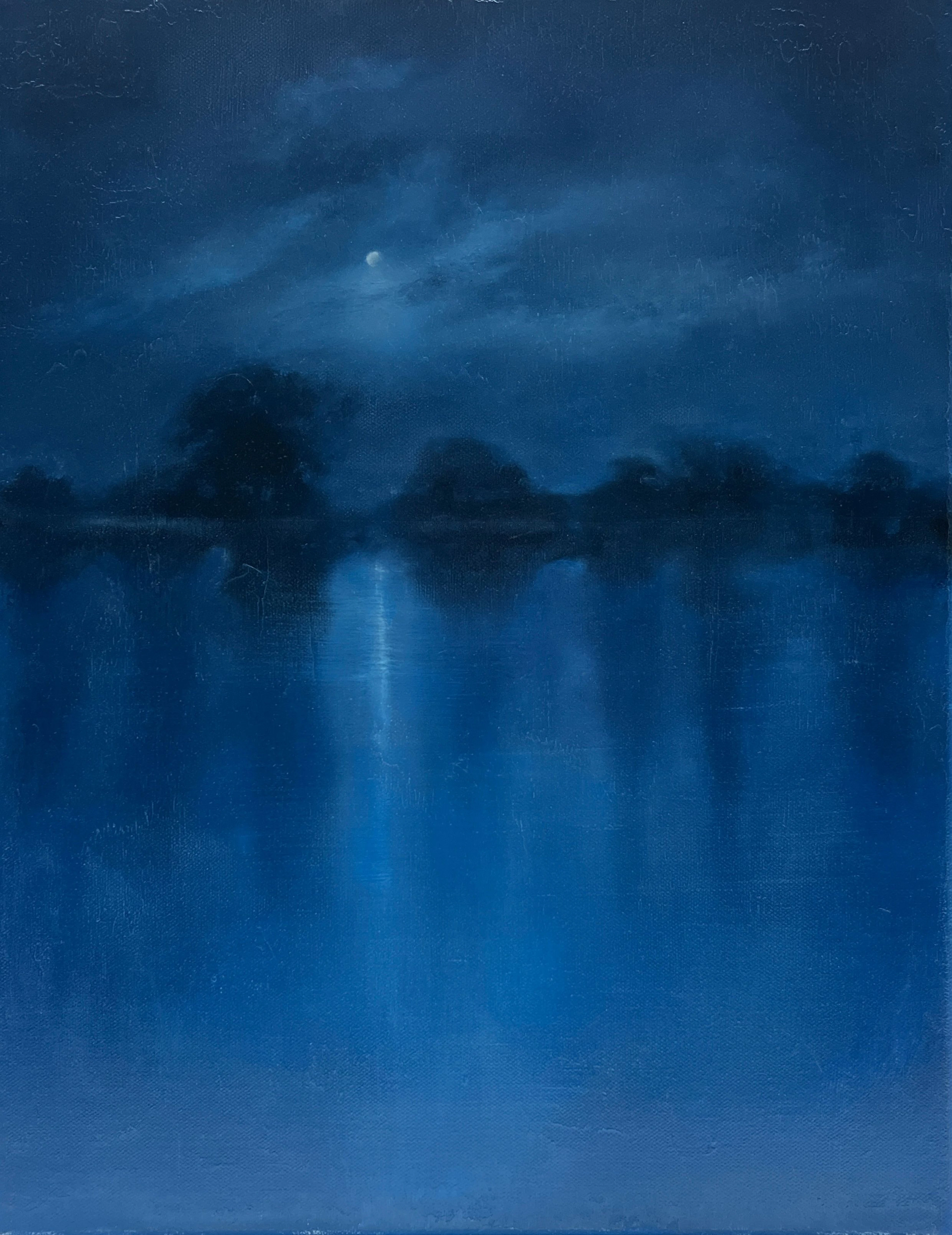 Moonlights Embrace - Vern Rollin