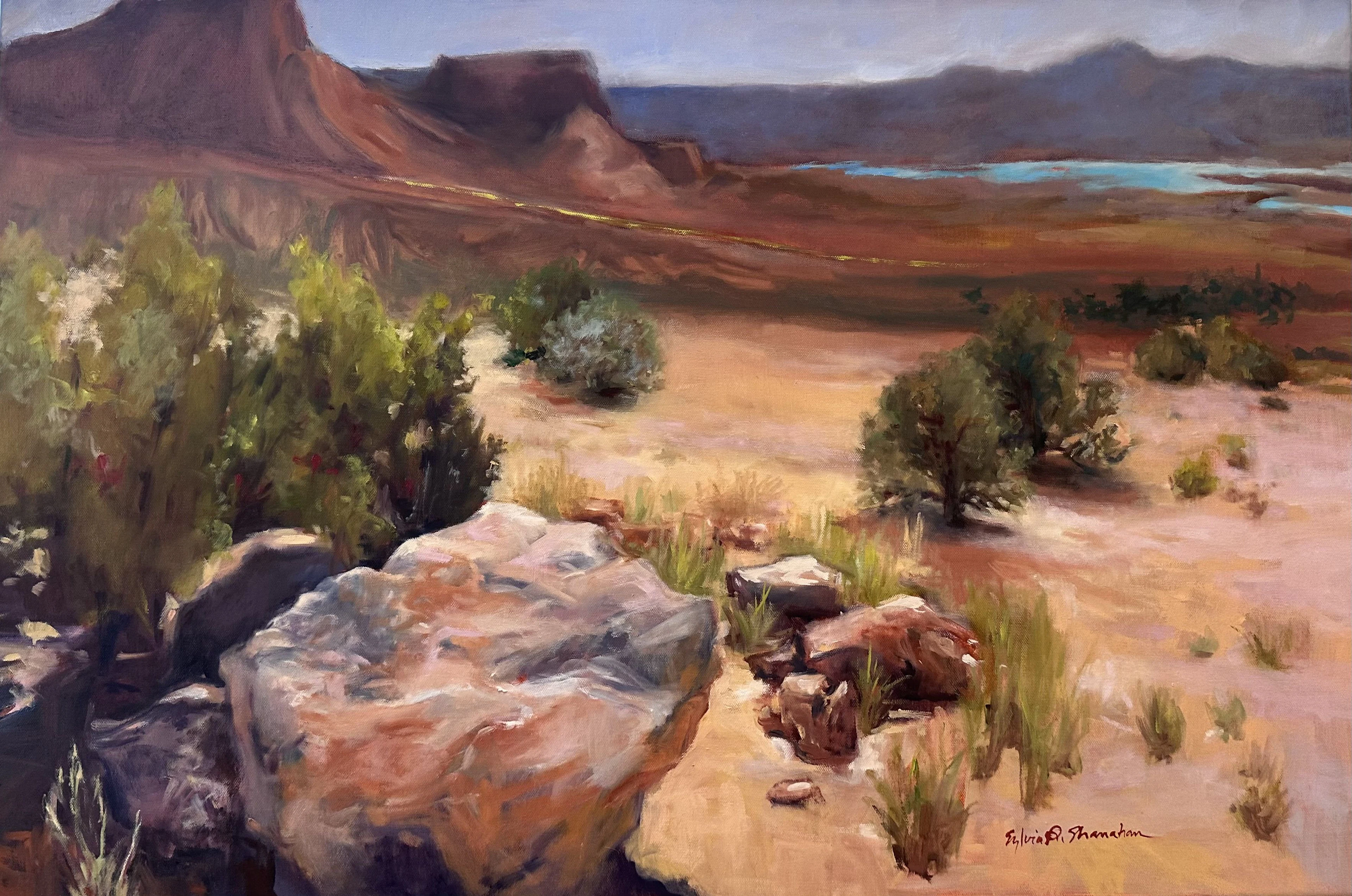 Facing Southwest - Sylvia Shanahan