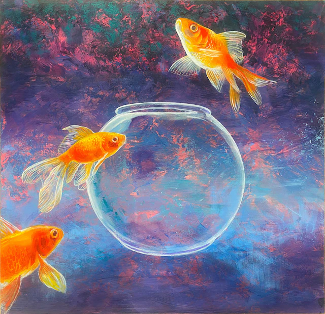 Goldfish LIV - Daniel Loveday