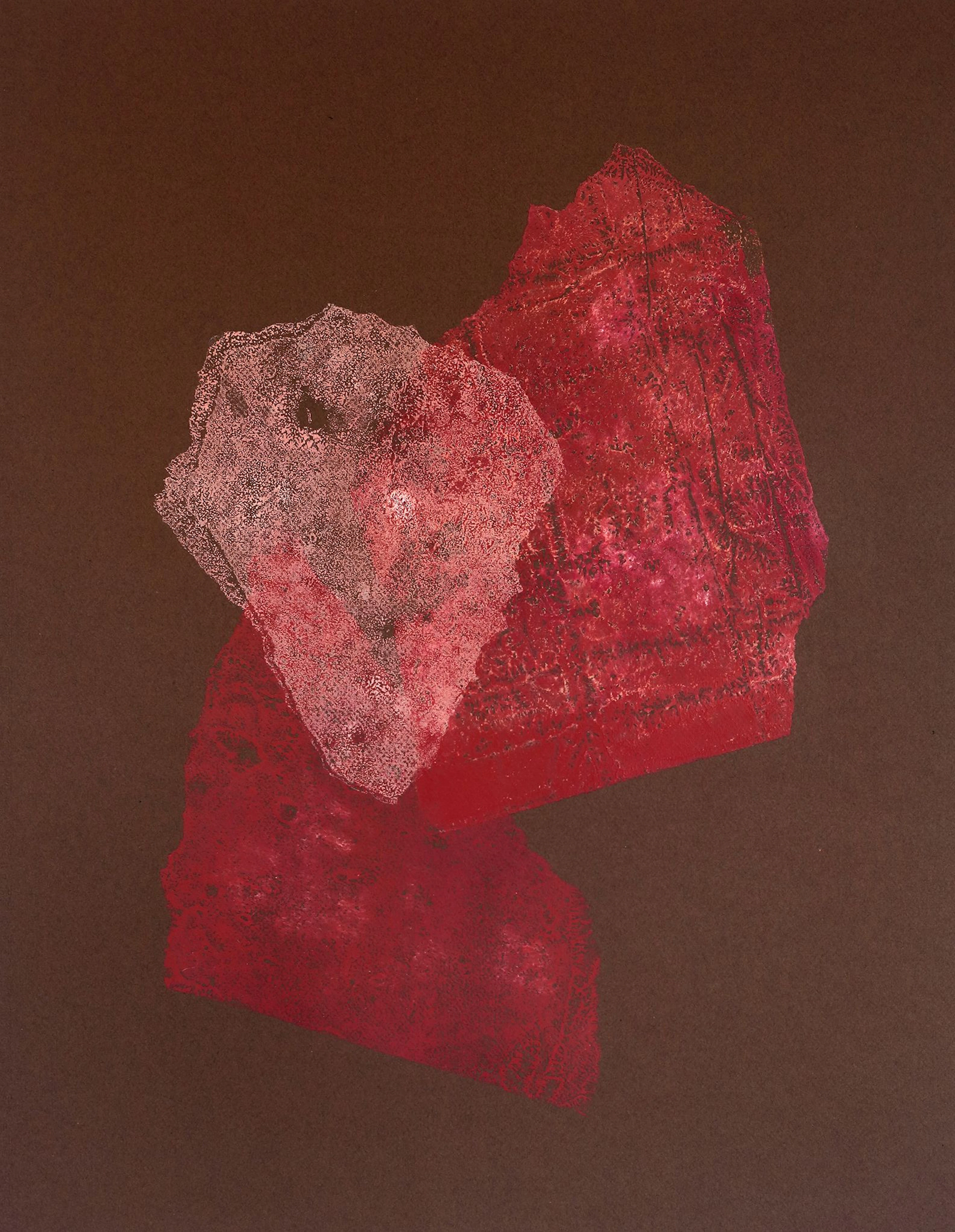 Rainshadow No 5 - Melissa McGill