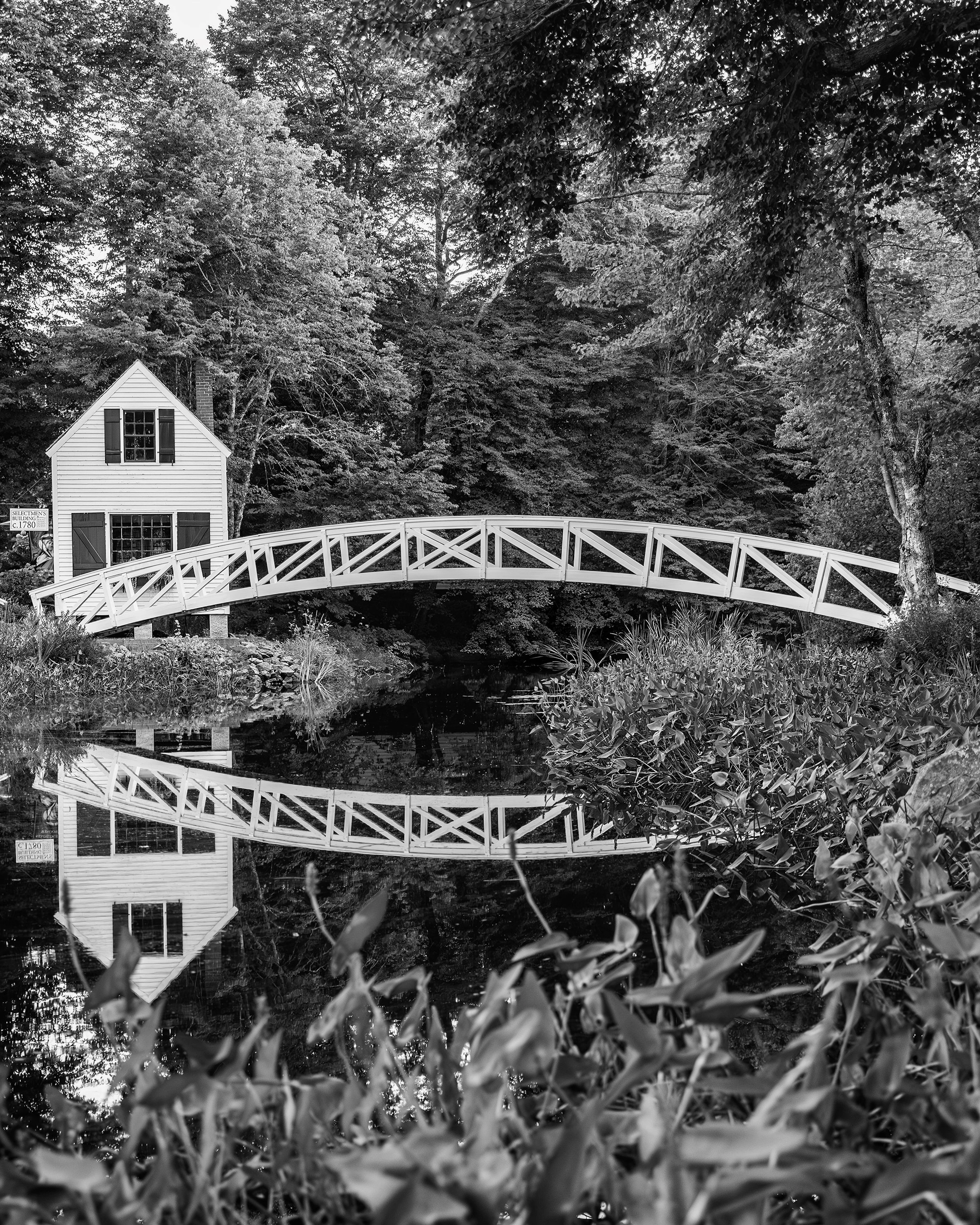 Somesville Gardens - daniel ashe