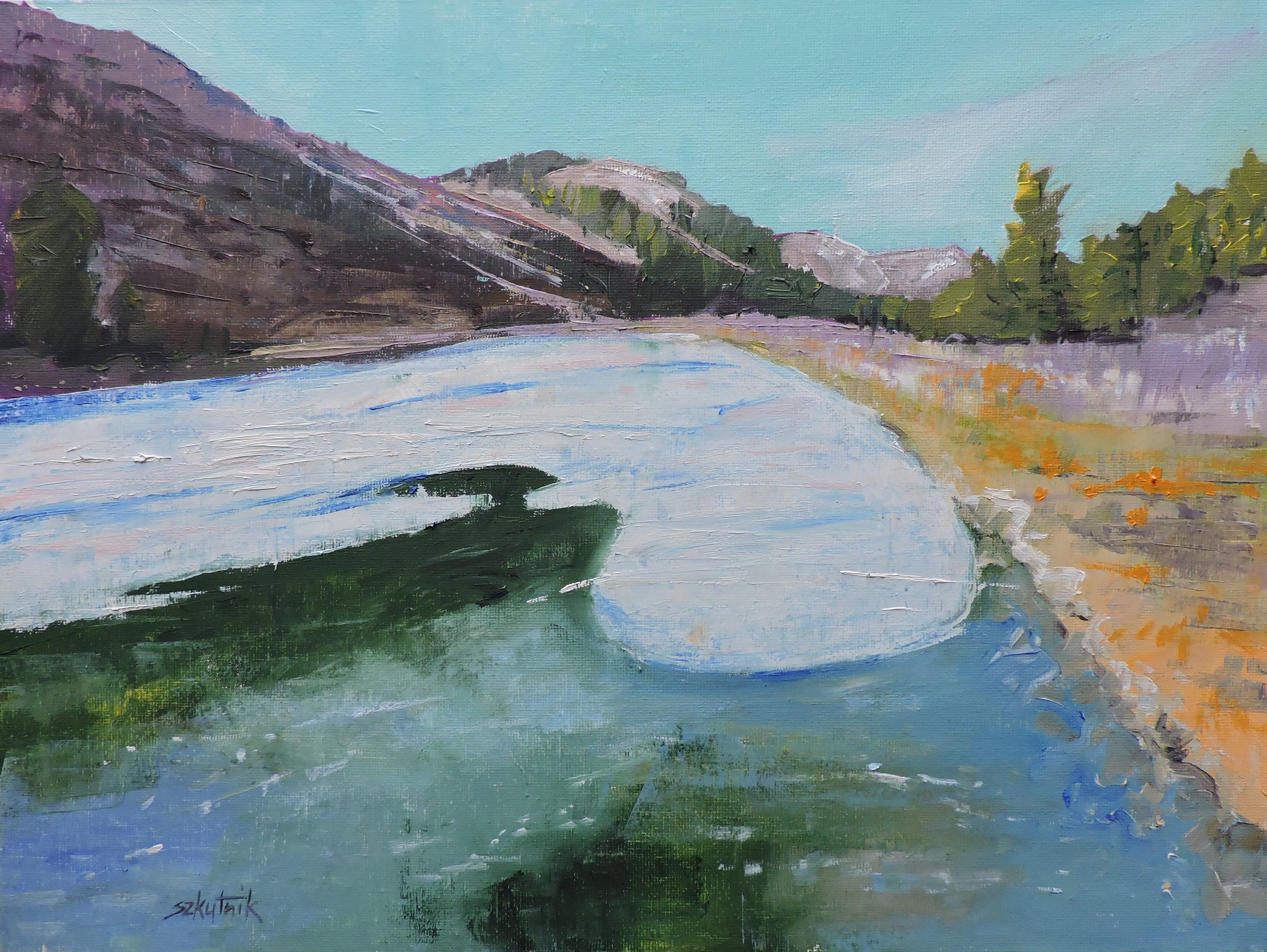Between Ice and Verant Shores - Richard Szkutnik