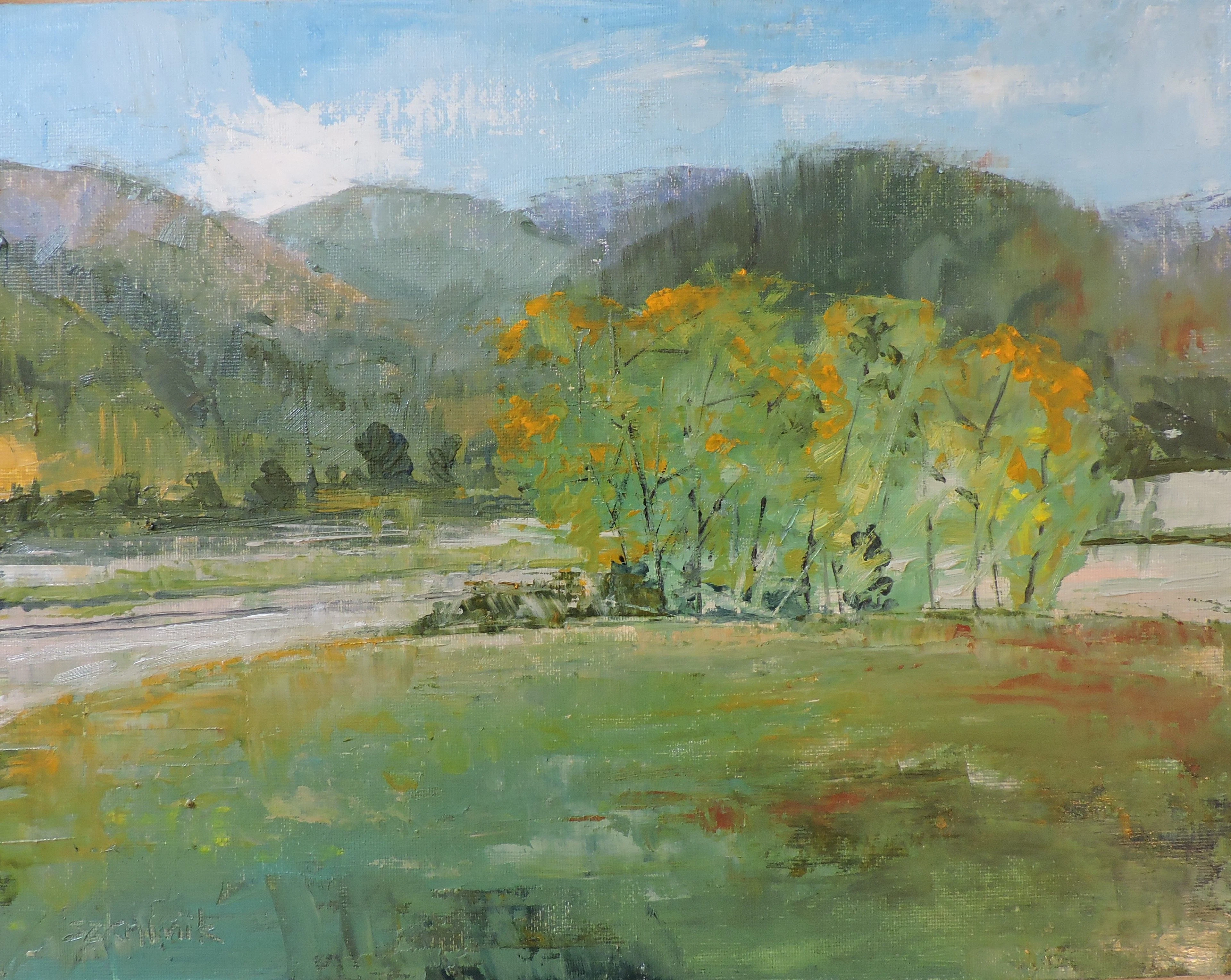 Chuck Lewis Wildlife Area - Richard Szkutnik