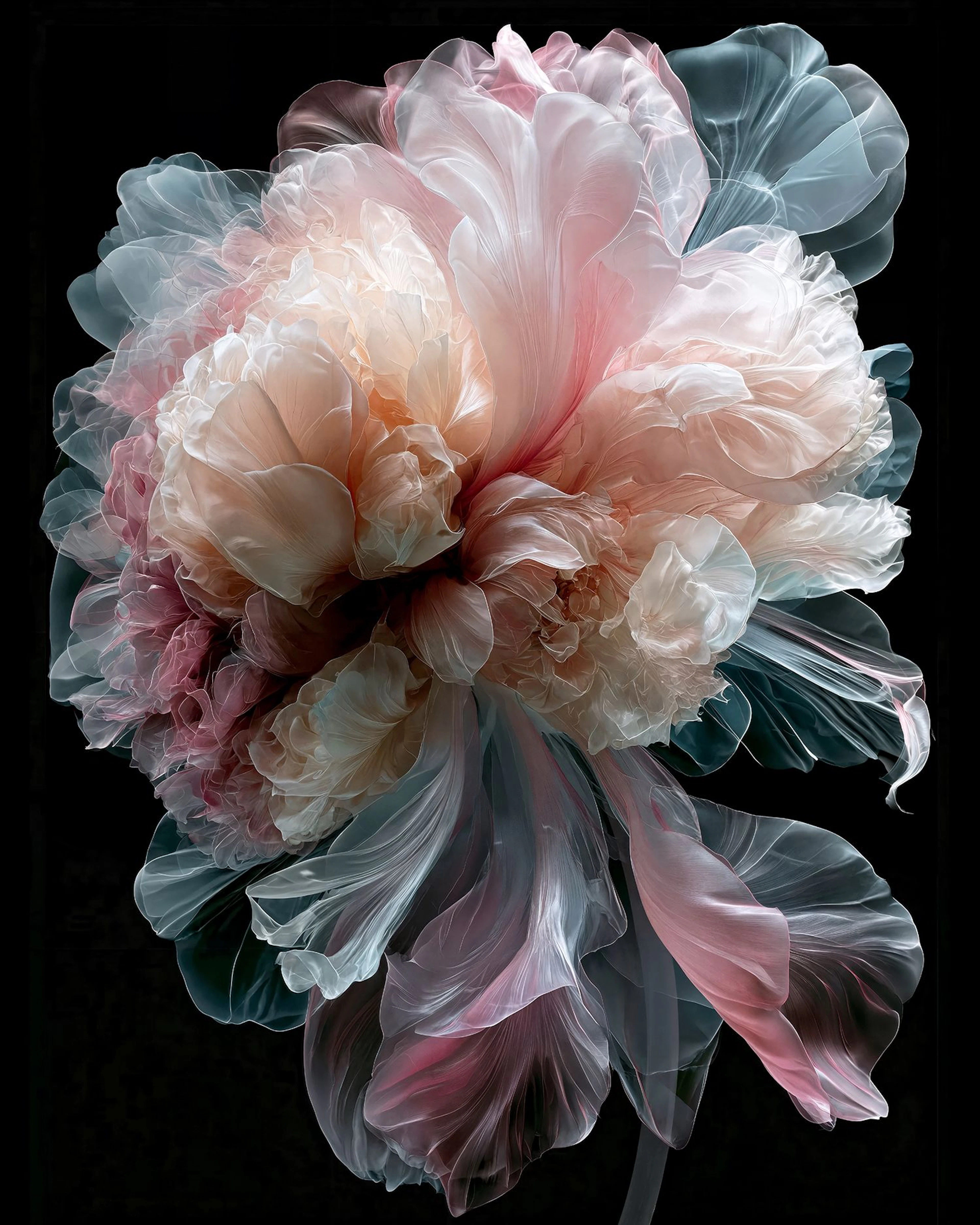 Petals of Light 2 - Limited Edition - Michael Filonow