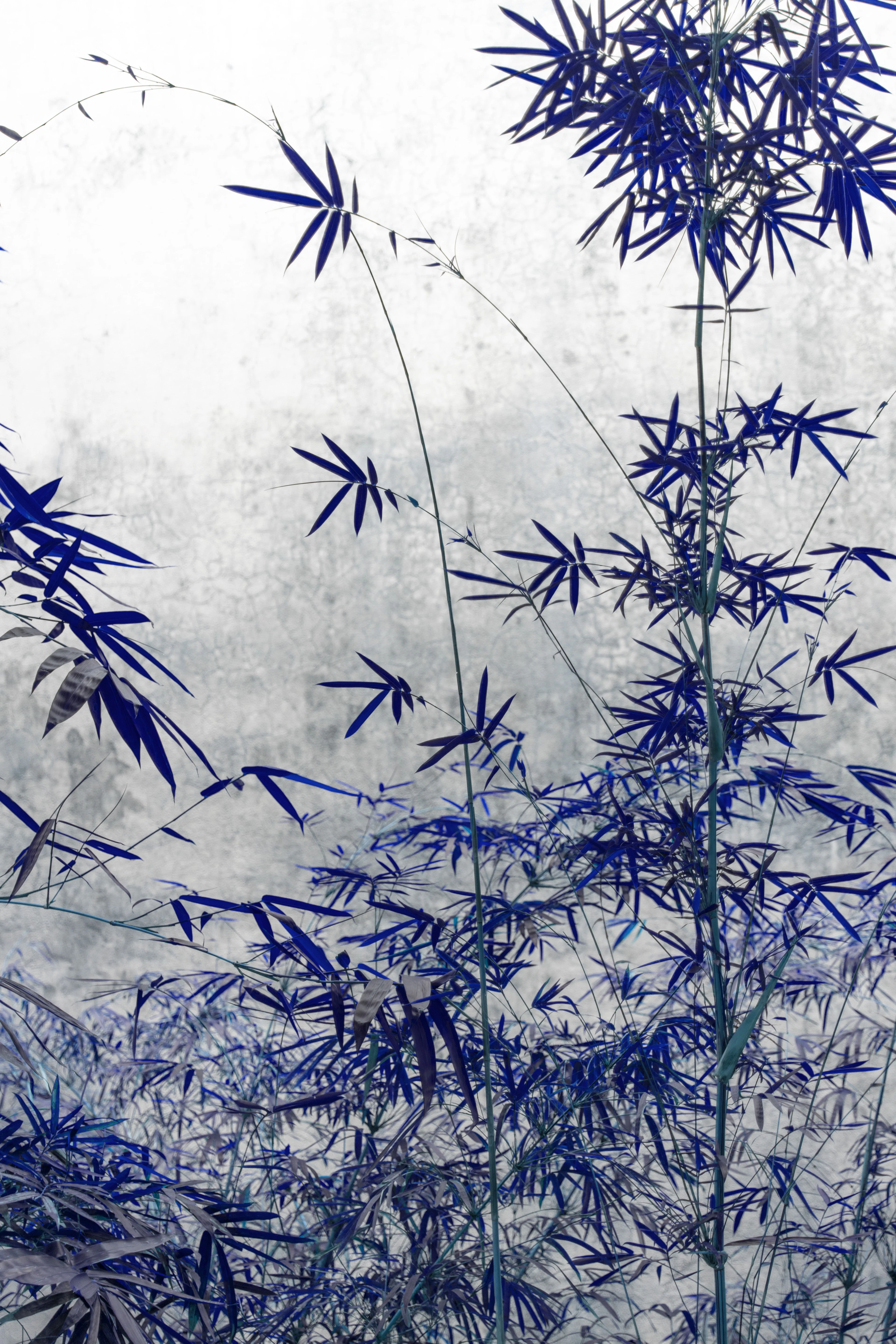 The power of simplicity - Viet Ha Tran