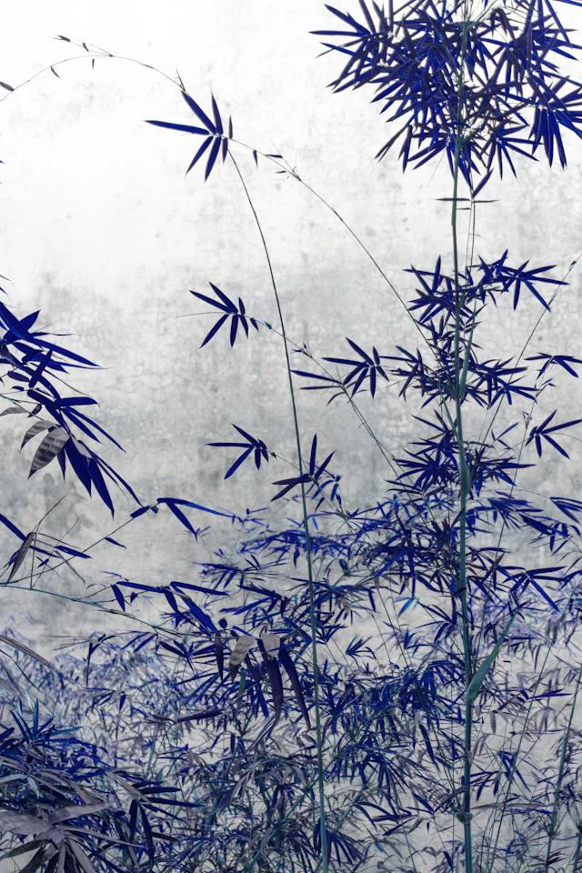 The power of simplicity - Viet Ha Tran