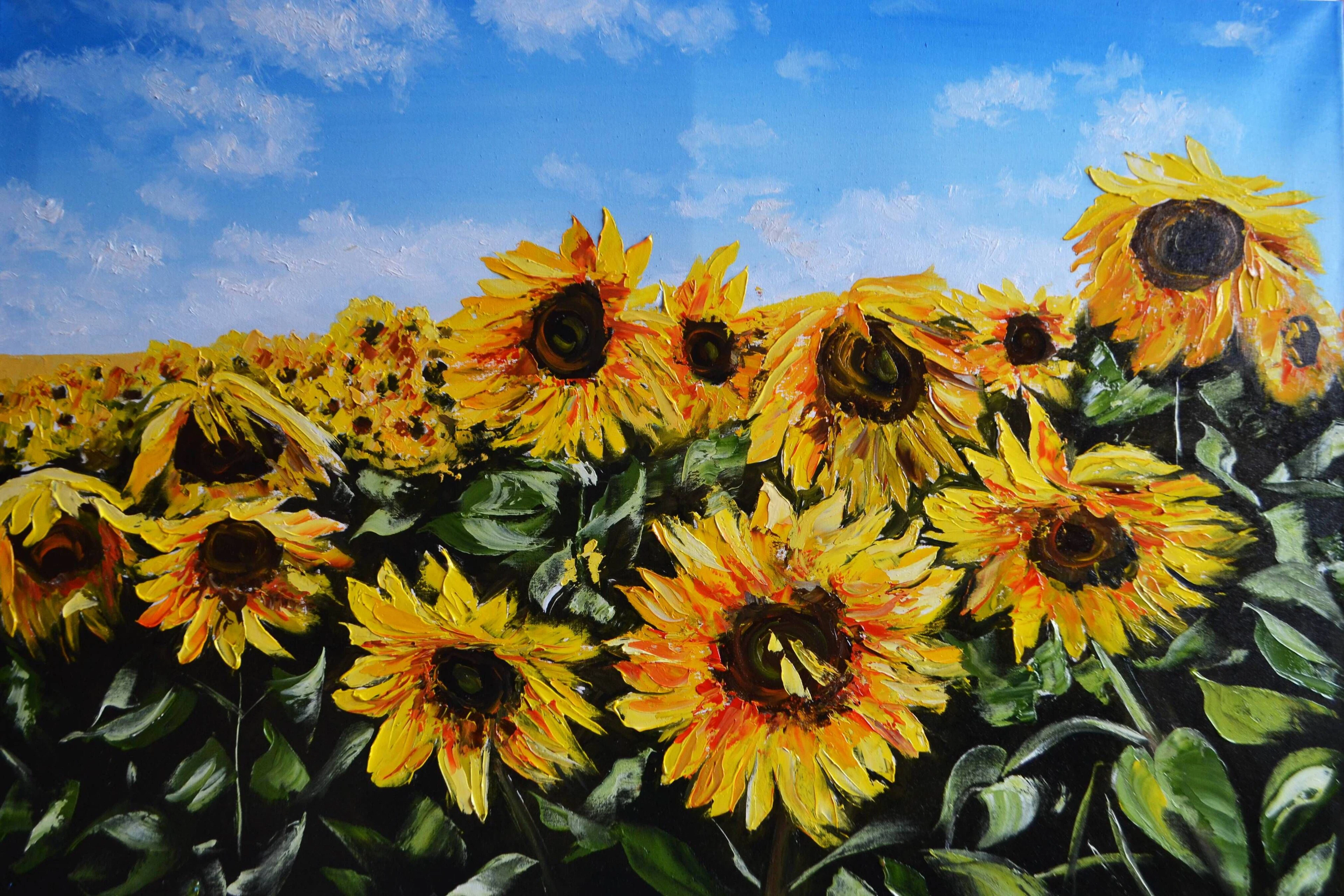 Sunflowers under the Ukrainian Sky - Valeria Radzievska