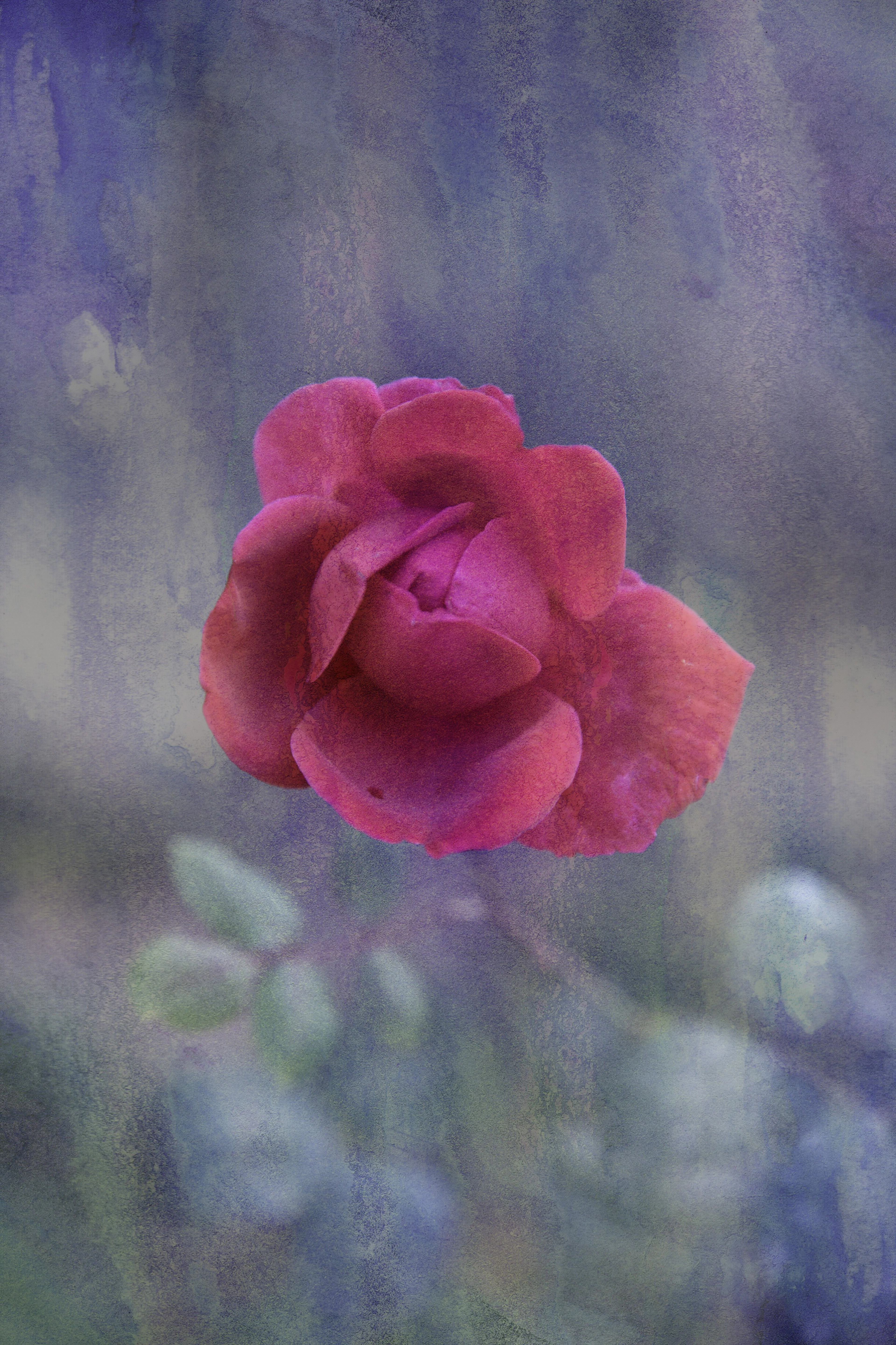 Garden of Time III - Viet Ha Tran