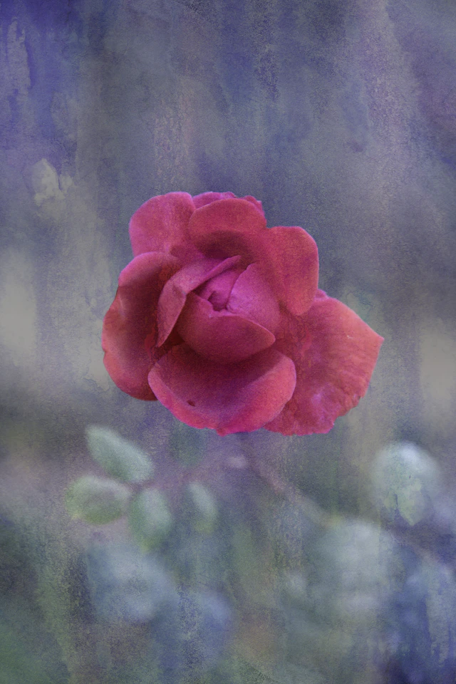Garden of Time III - Viet Ha Tran