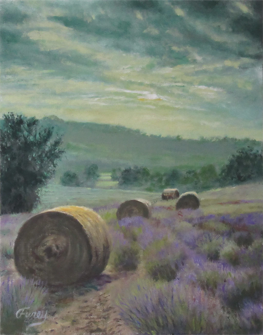Hey Lavender Fields - Tom FUREY