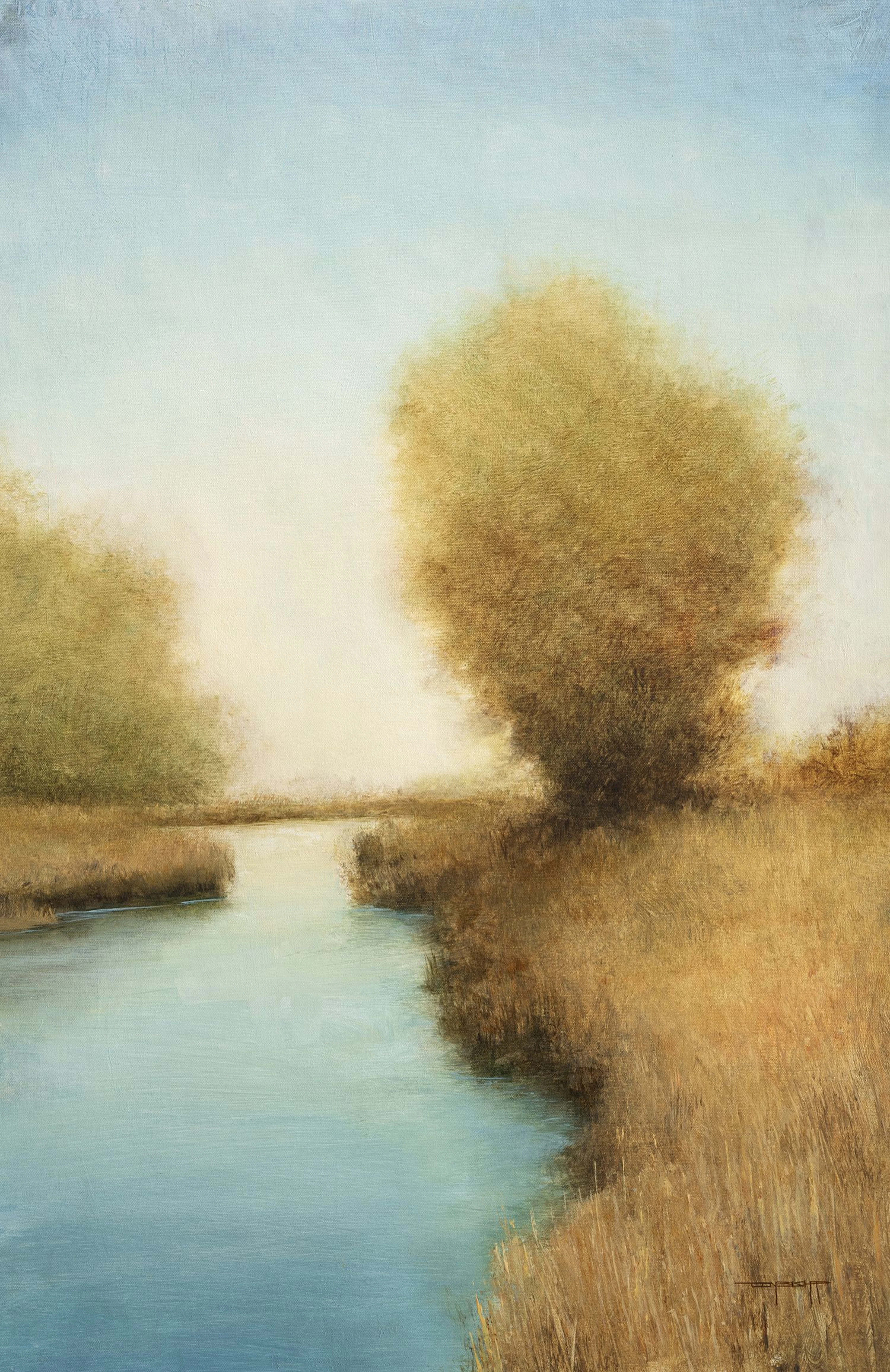 Blue Wetlands 251230 - Don Bishop