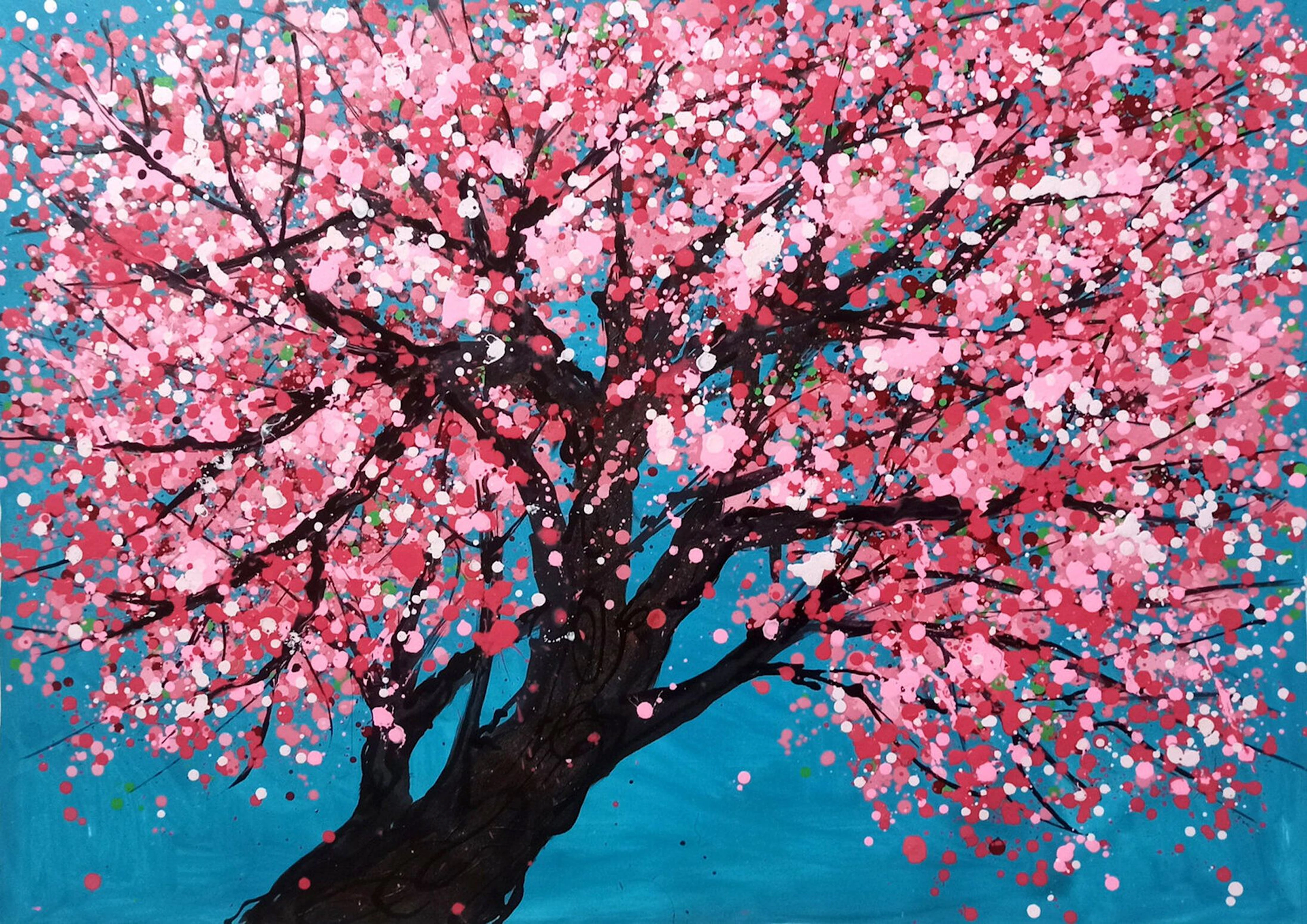 SAKURA - Cherry blossom - Hoang Phuong