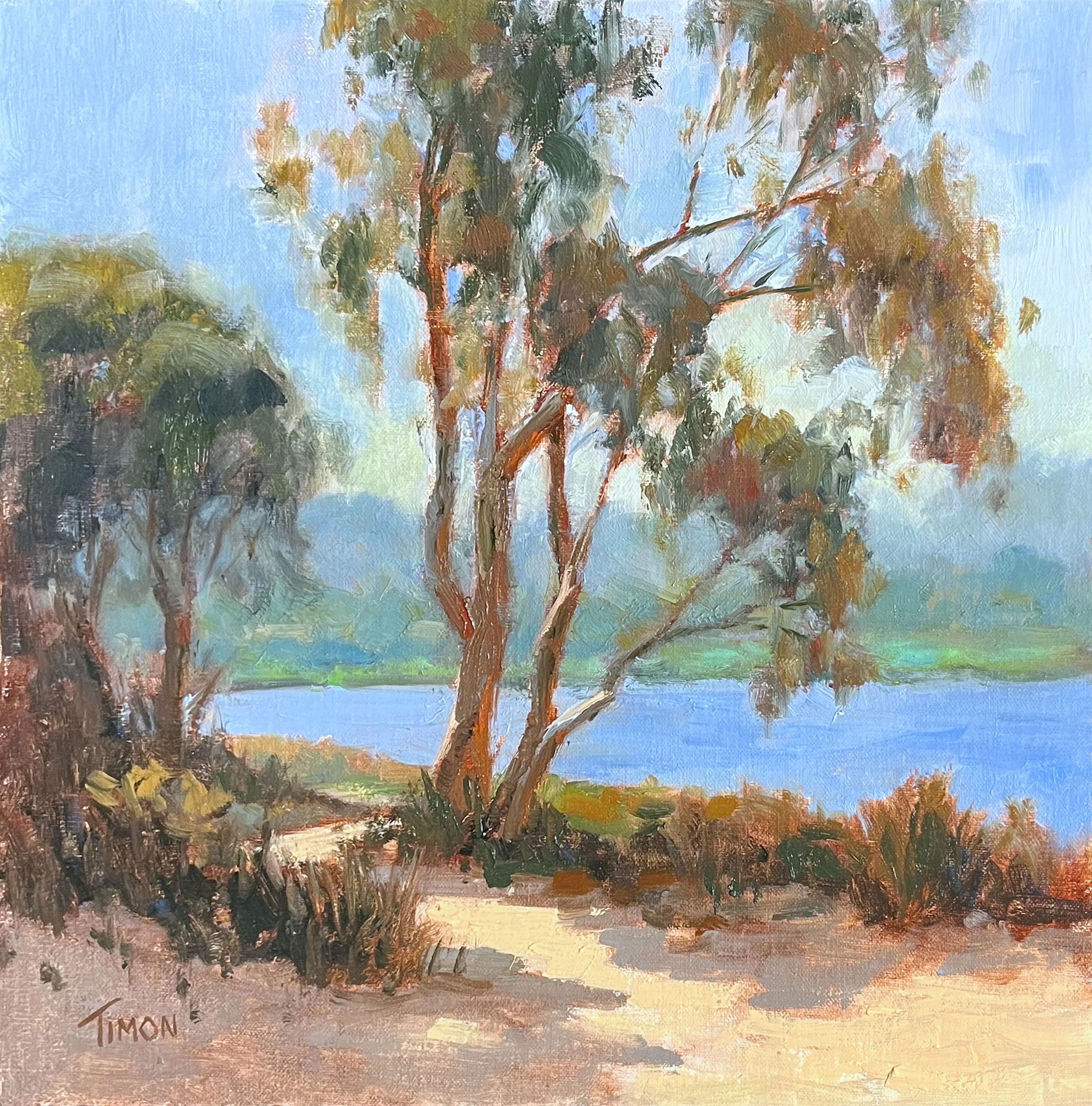 Eucalyptus Trail - Timon Sloane