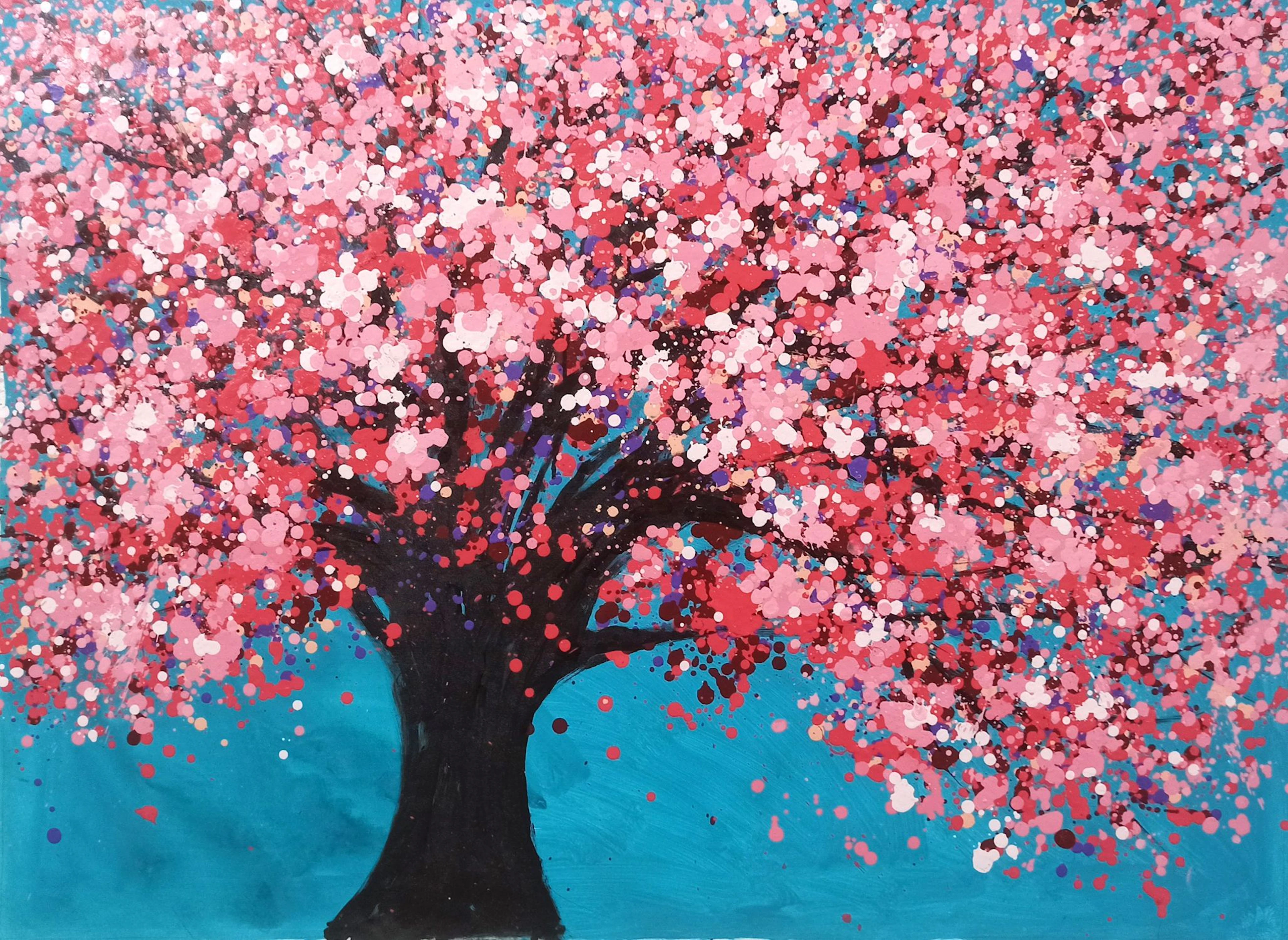 SAKURA - Cherry blossom - Hoang Phuong