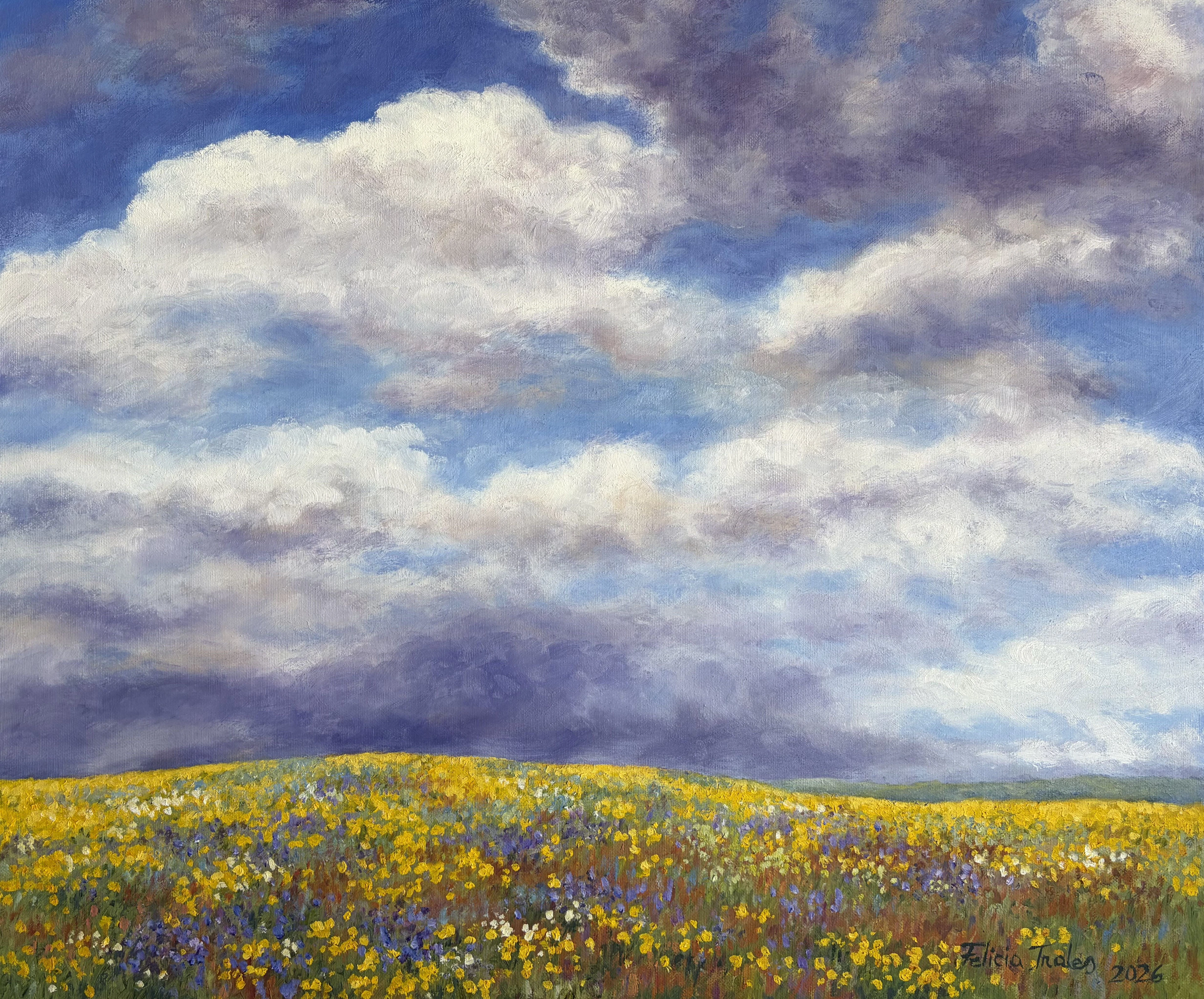 Landscape with clouds - Felicia Trales