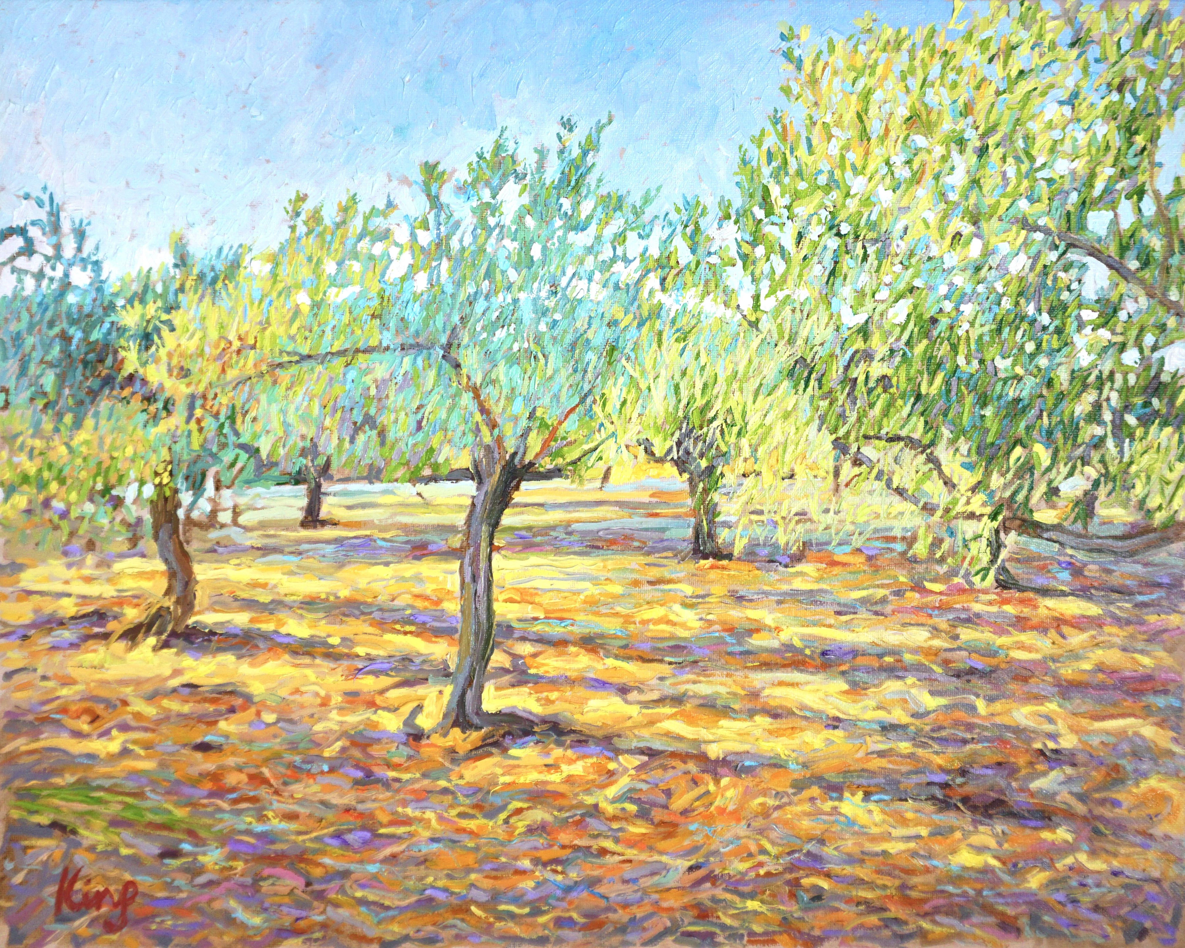 Olive Trees in Donori - Brian King