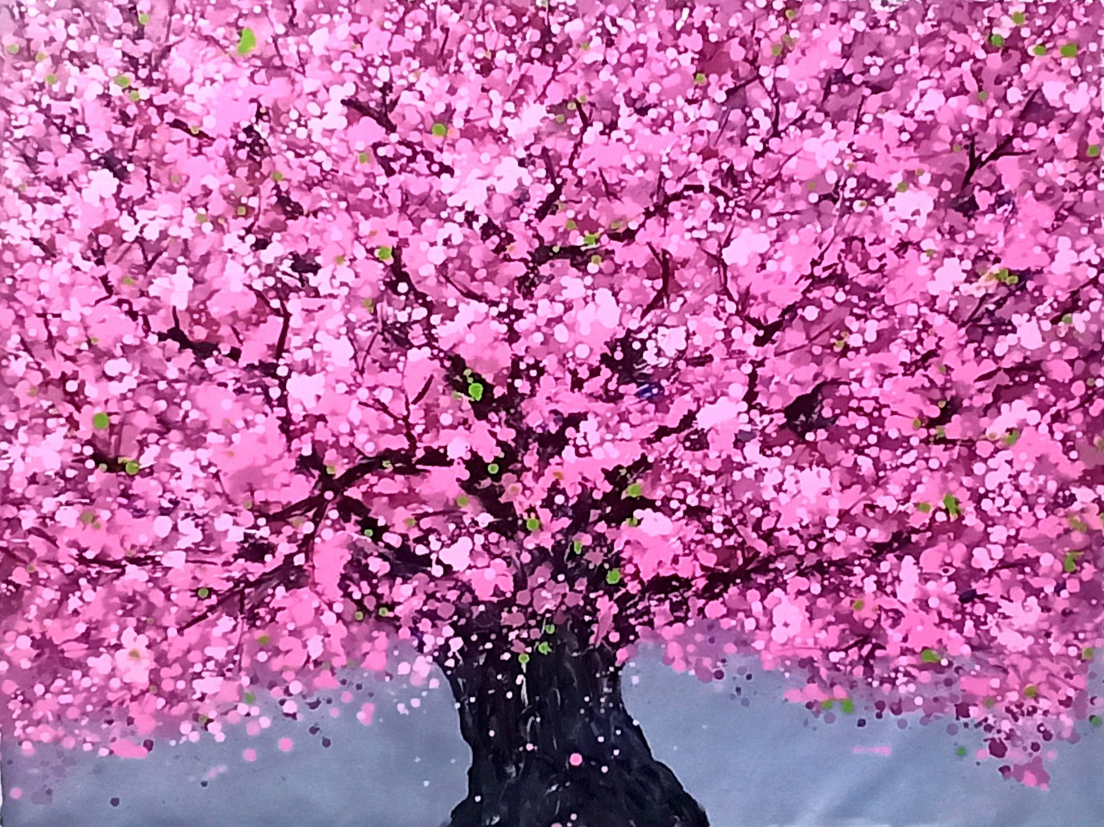 SAKURA - Cherry blossom - Hoang Phuong