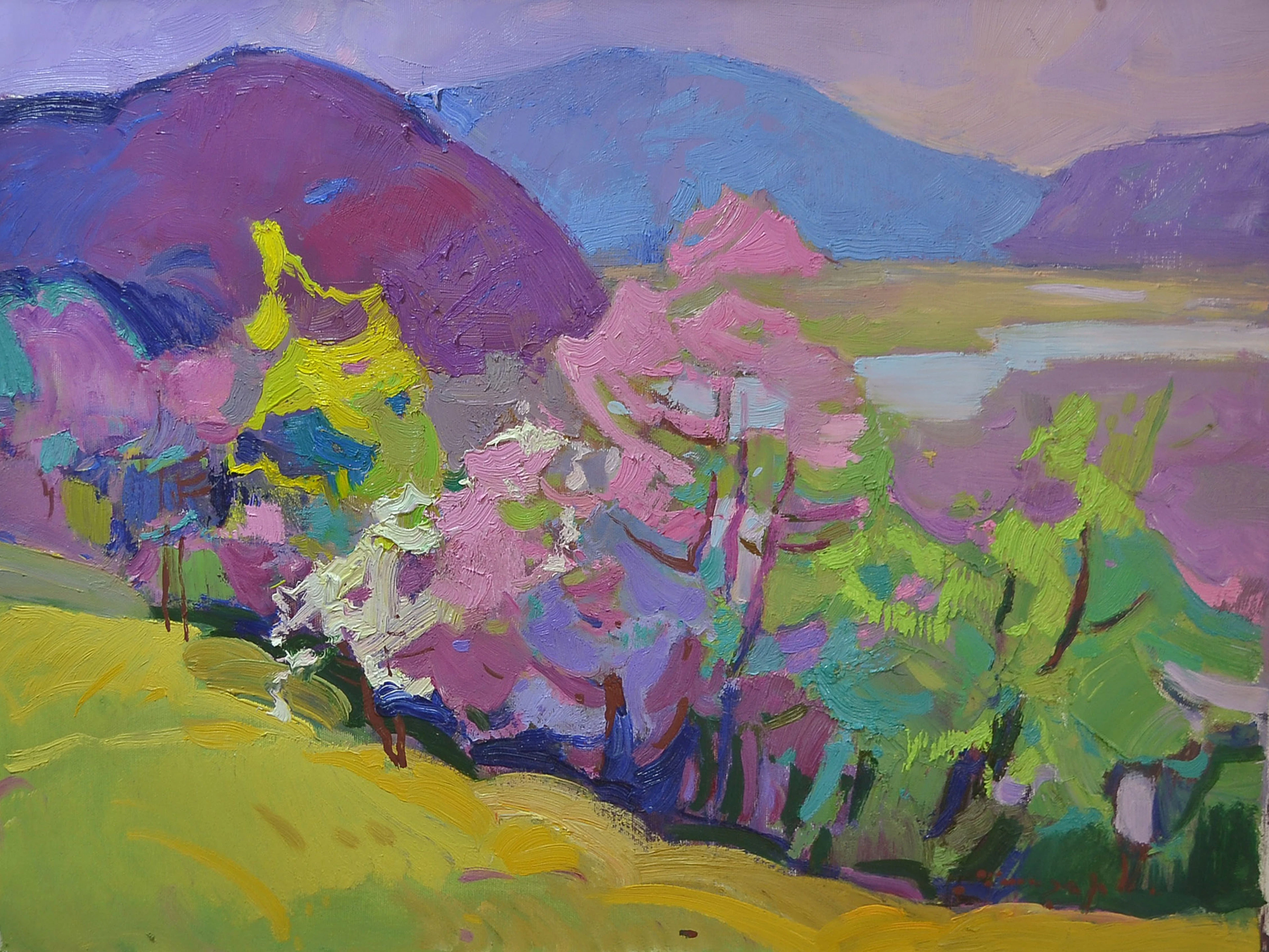Colorful colors of spring - Alexander Shandor