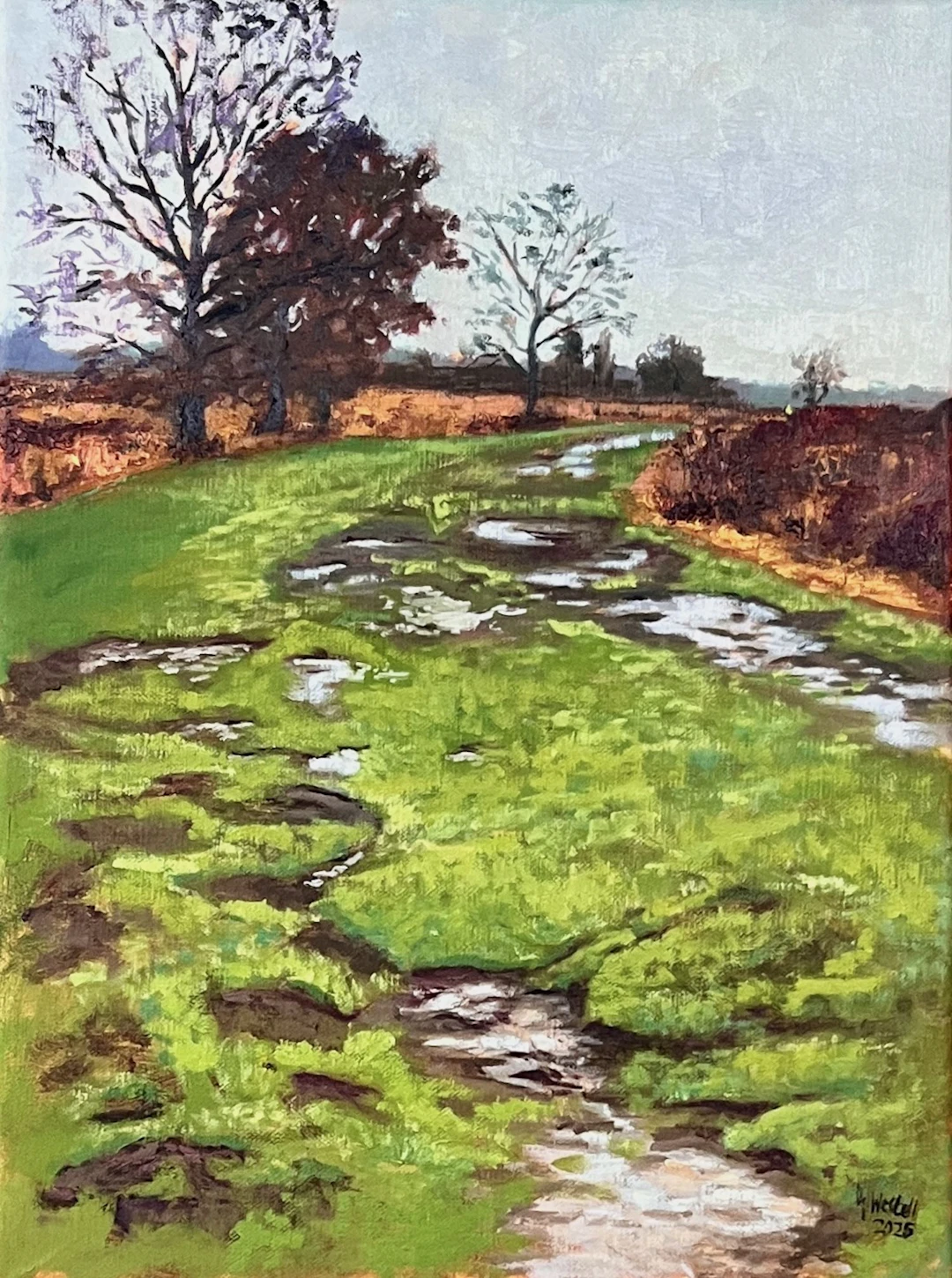 Path in the Great Peat Moor - Gary Westall