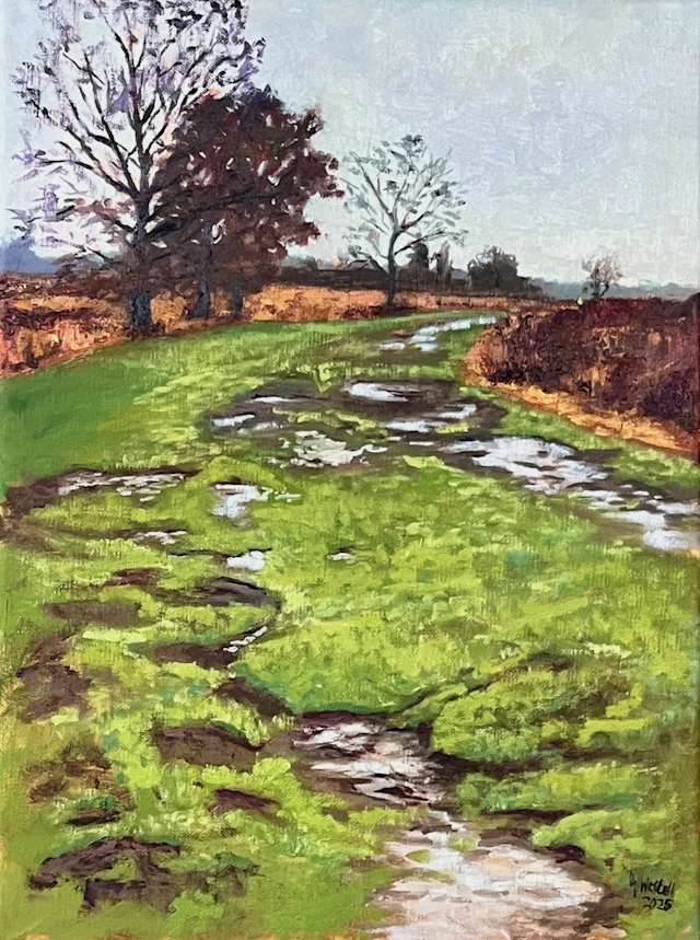 Path in the Great Peat Moor - Gary Westall
