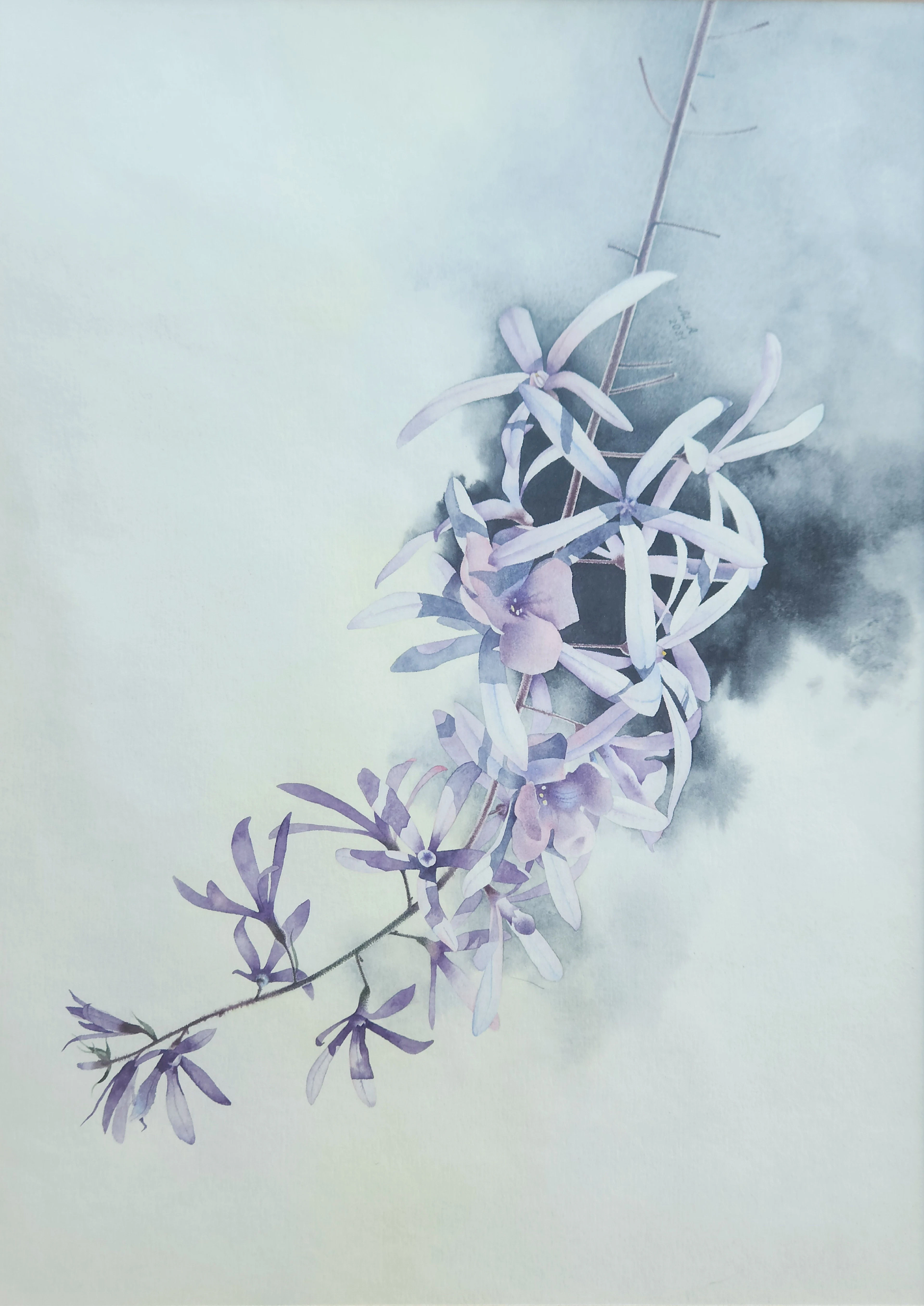 Pilgrim - Mariia M.
