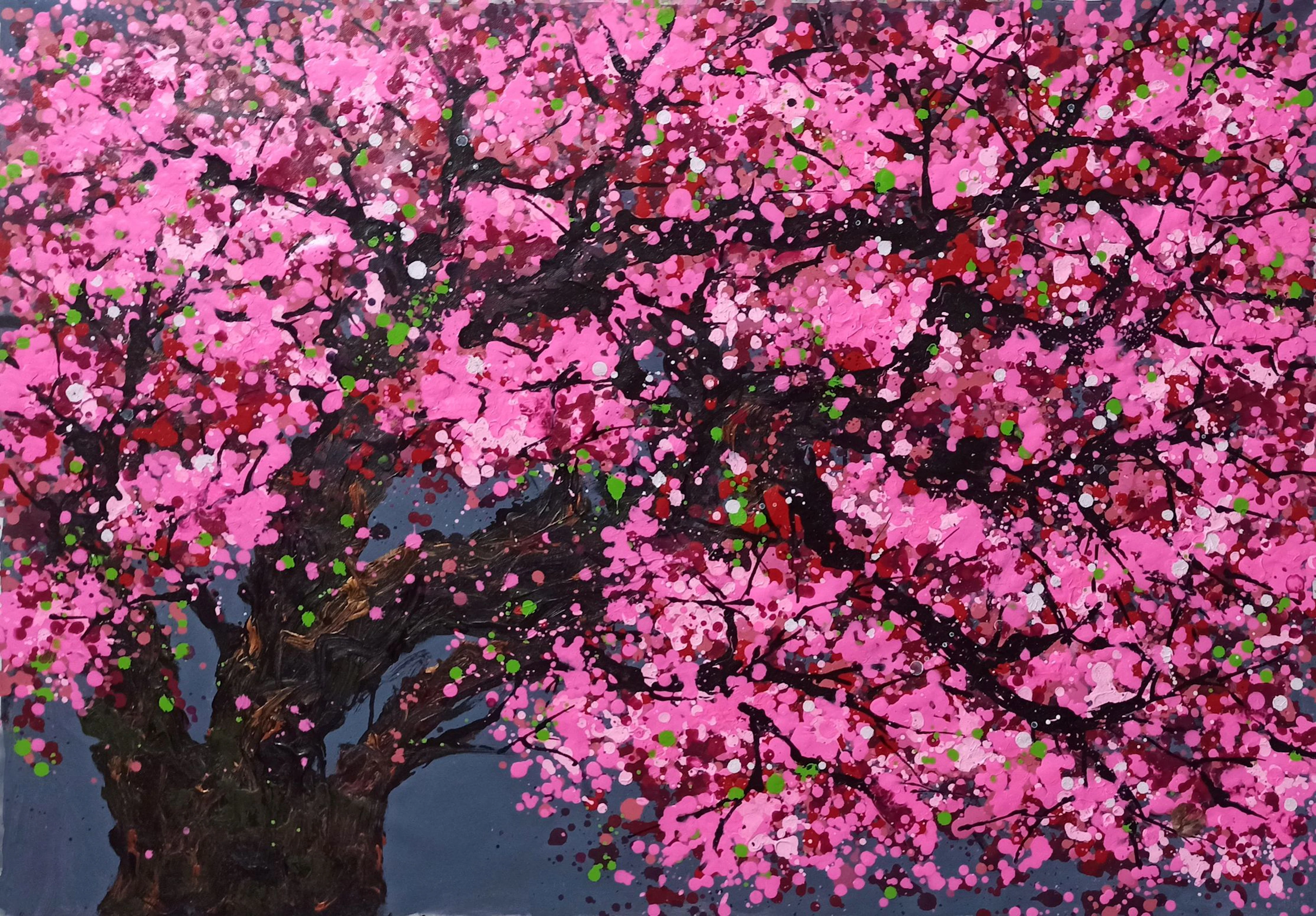 SAKURA - Cherry blossom - Hoang Phuong