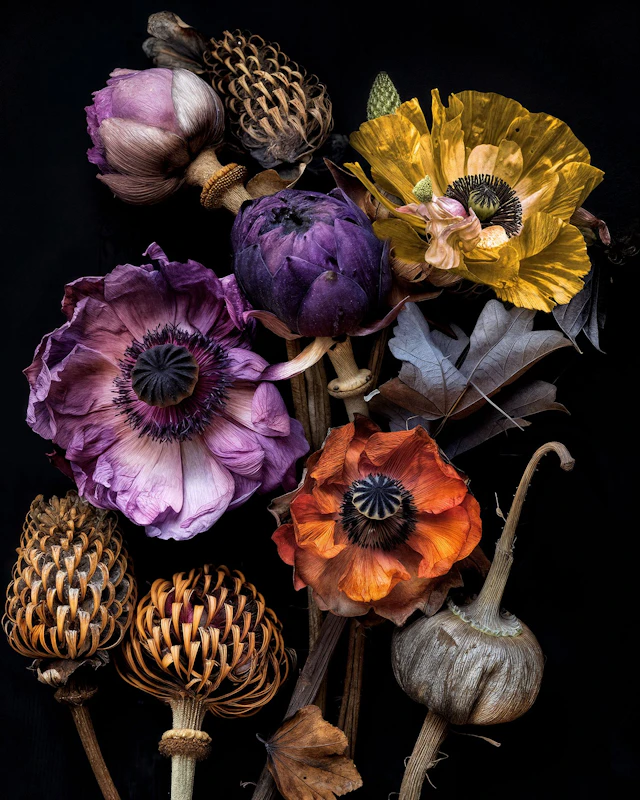 Elegy In Bloom Botanical Art - Michael Filonow