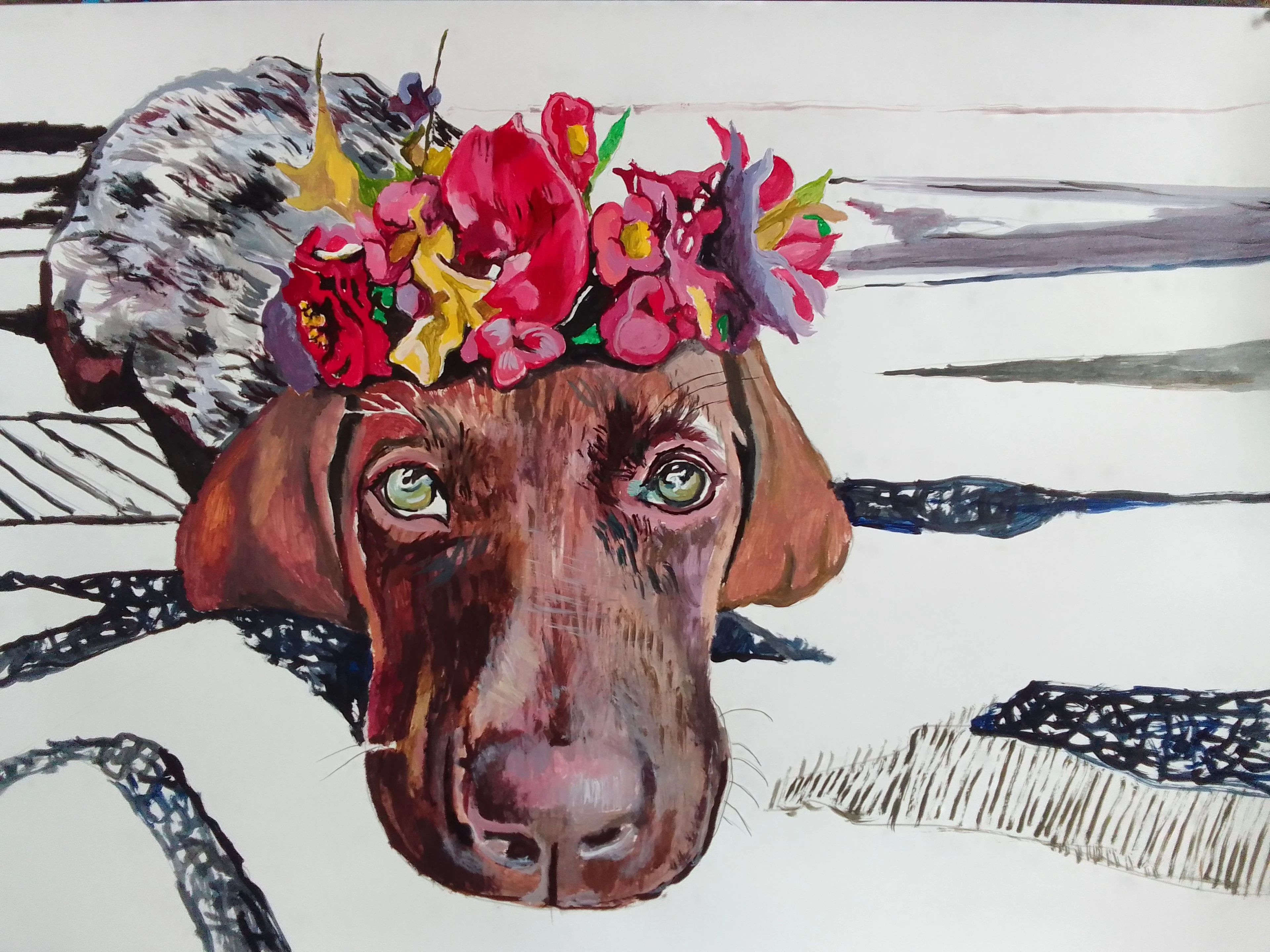 German shepherd pointer - soso kumsiashvili