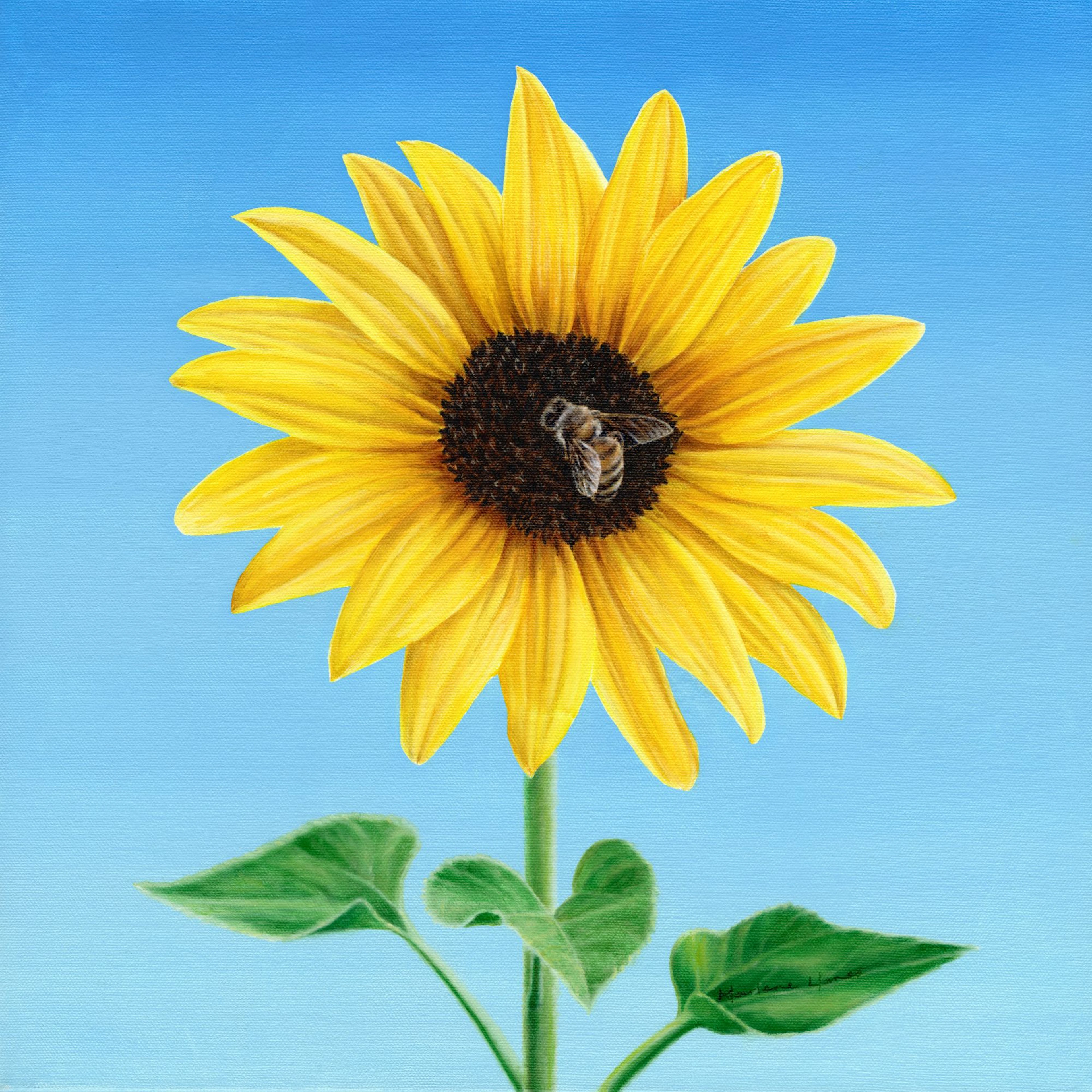 The Sunflower and the Bee - Marlene Llanes