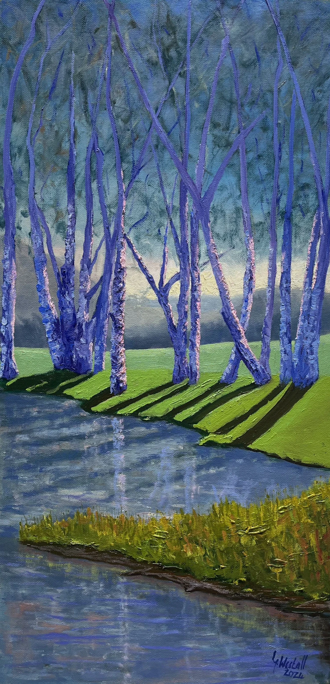 Birch trees in the evening light - Gary Westall