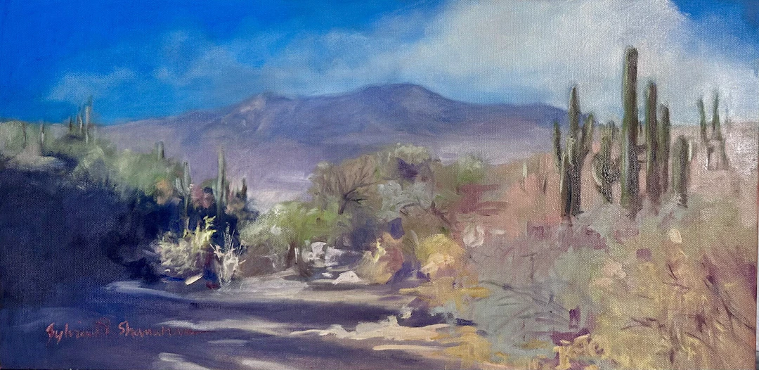 Desert Journey - Sylvia Shanahan