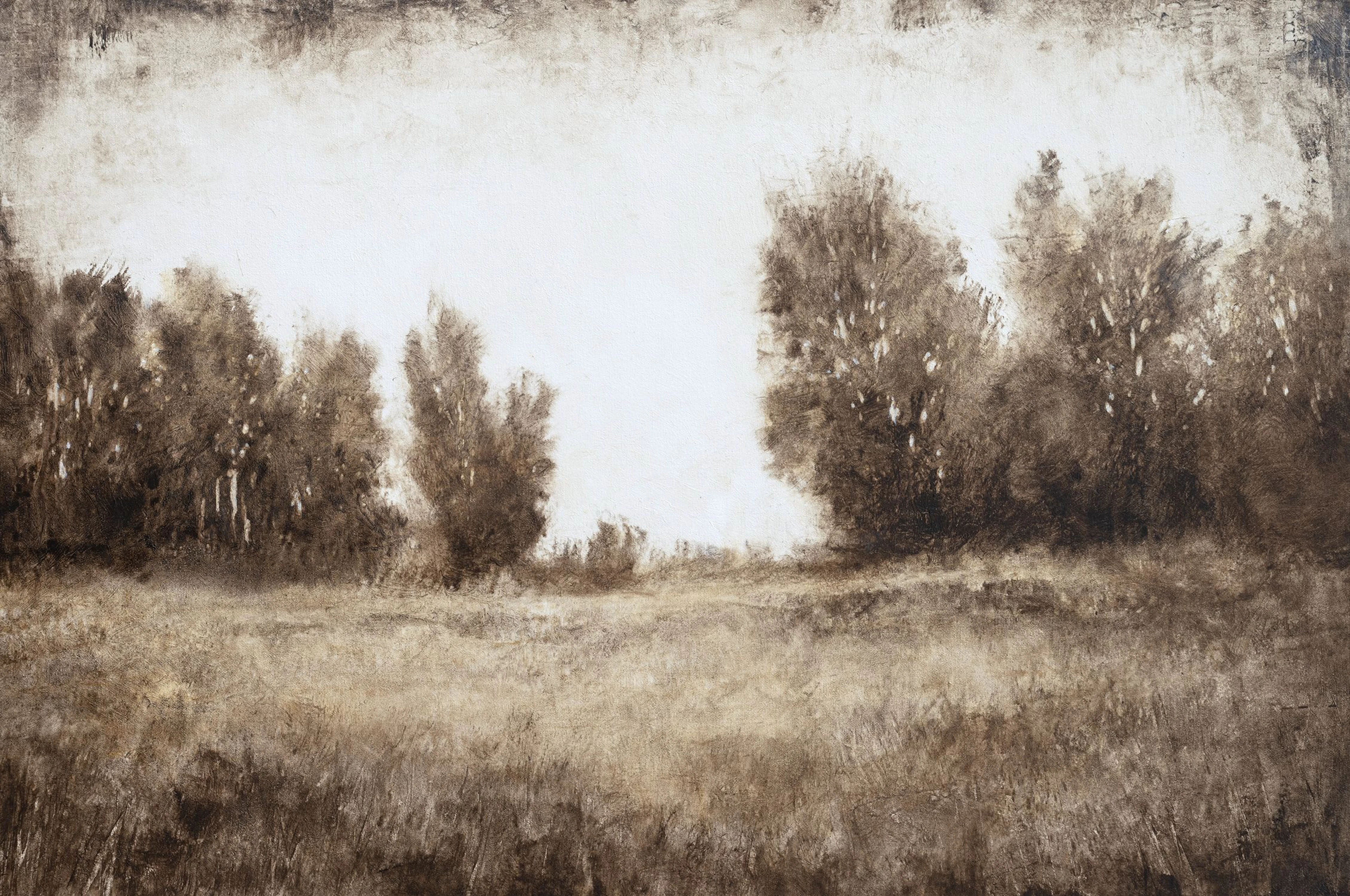 Sepia Trees 24120 - Don Bishop