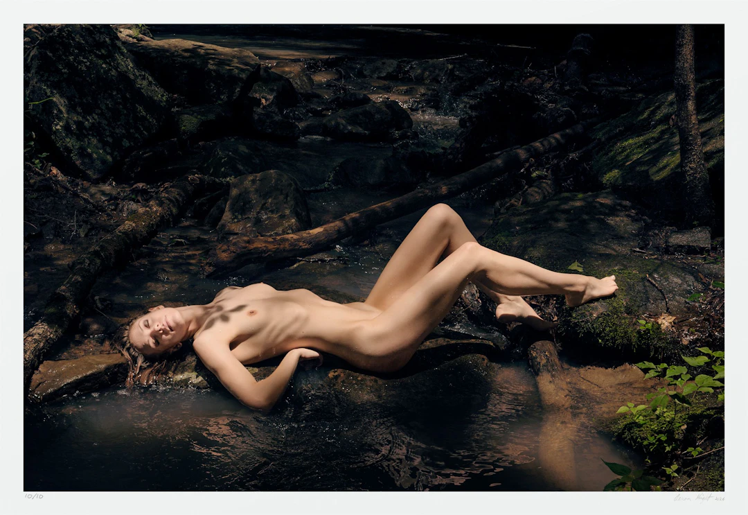 A Brook in the Forest - Aaron Knight