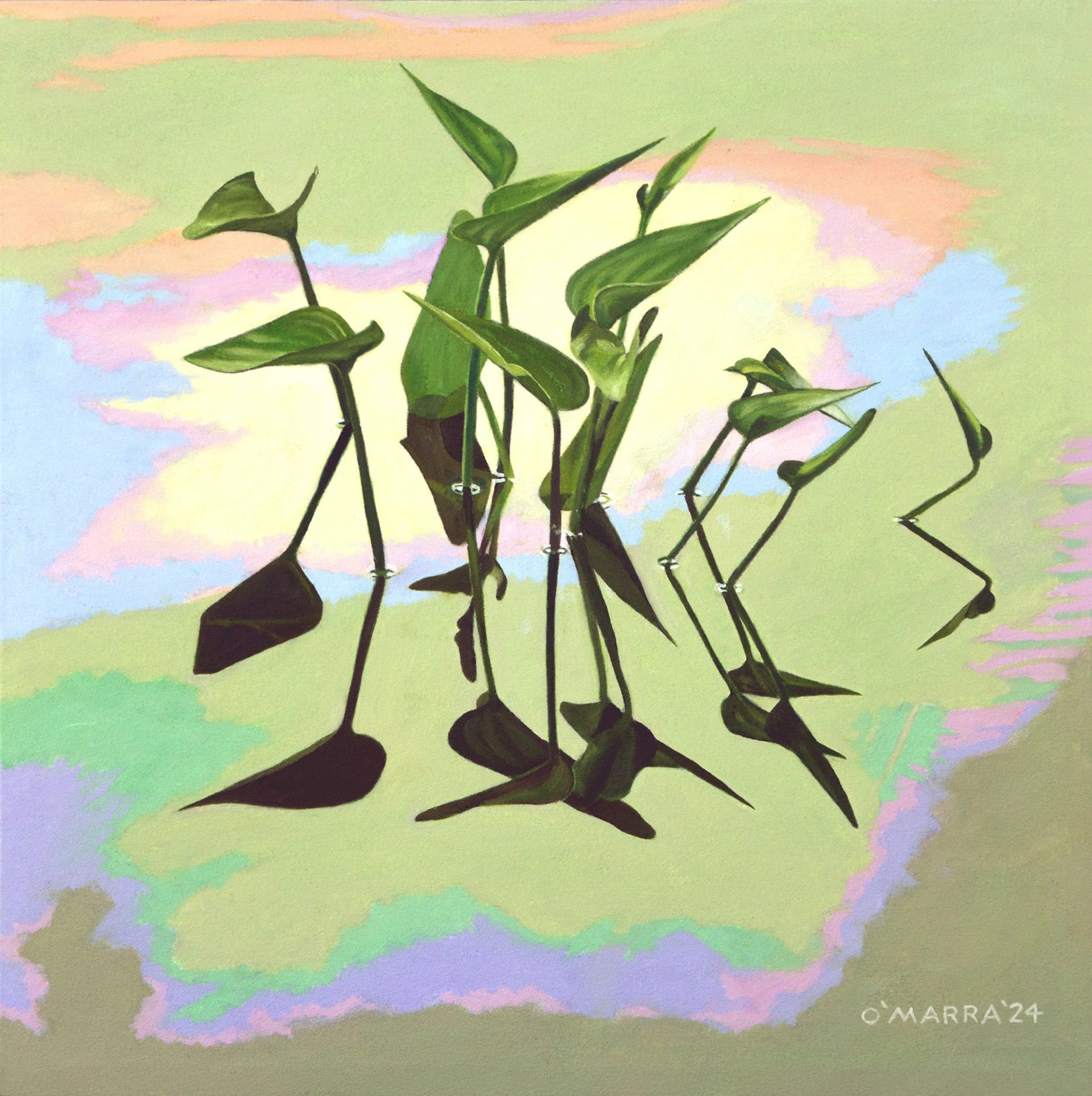 Pickerel Weed Conversations - Allan O'Marra