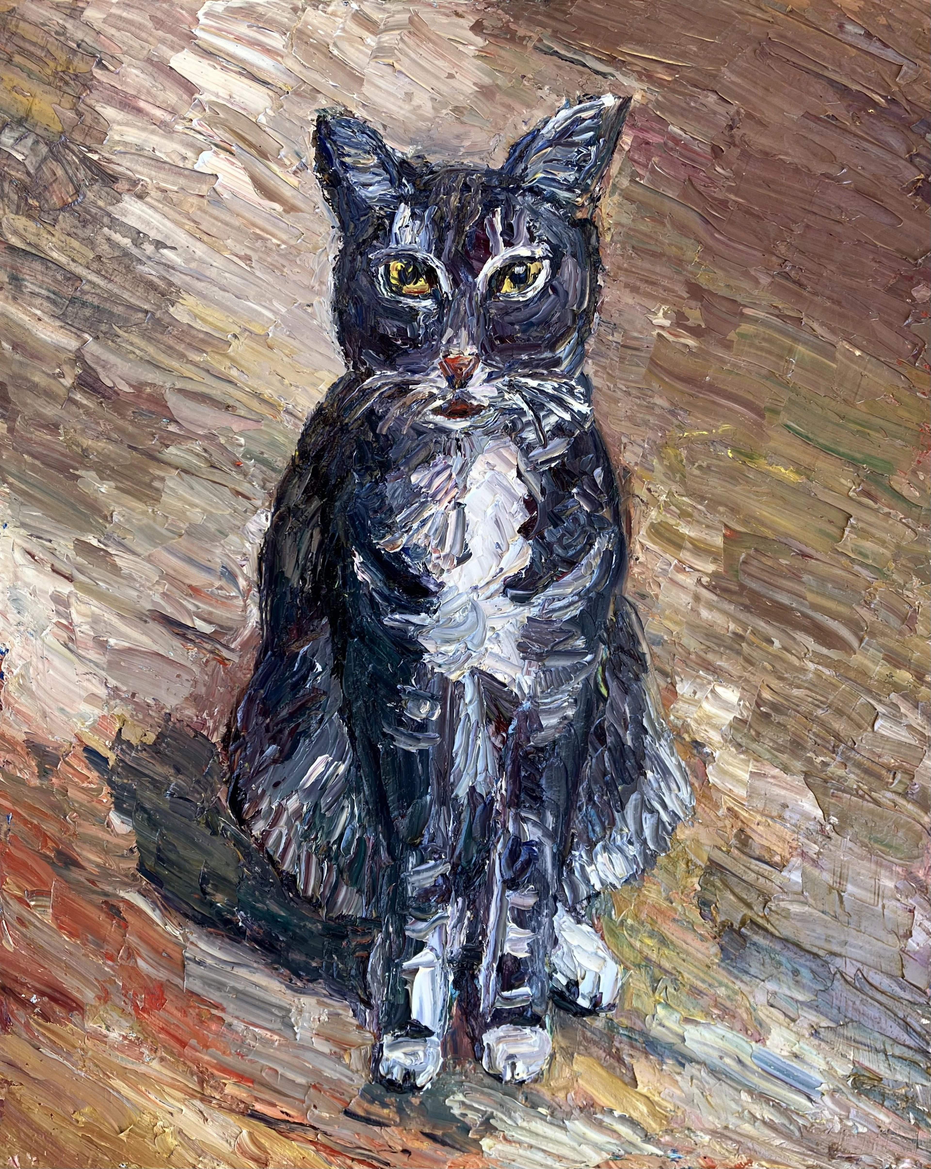 Silver the cat - John Kilduff