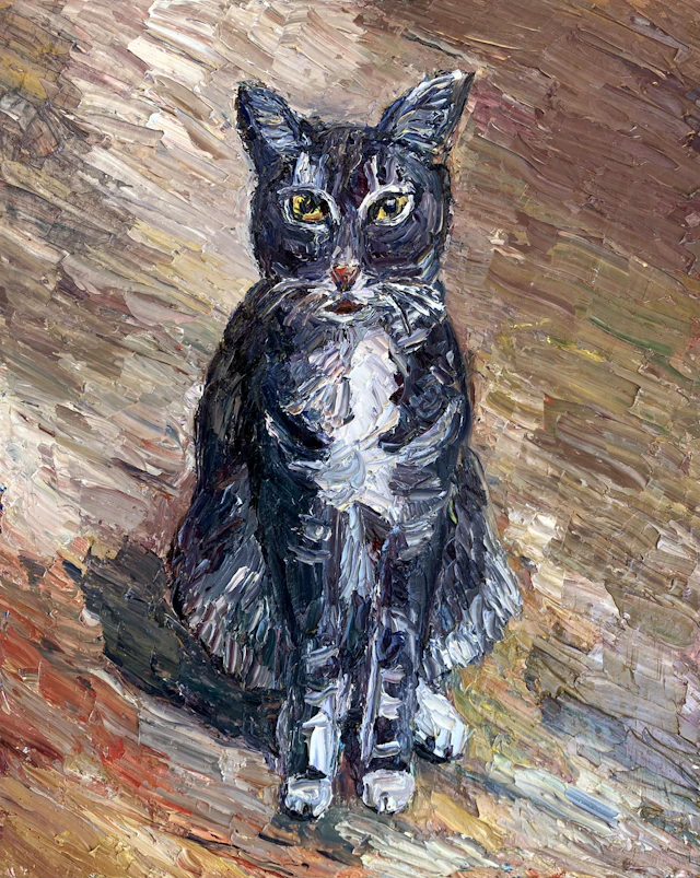 Silver the cat - John Kilduff