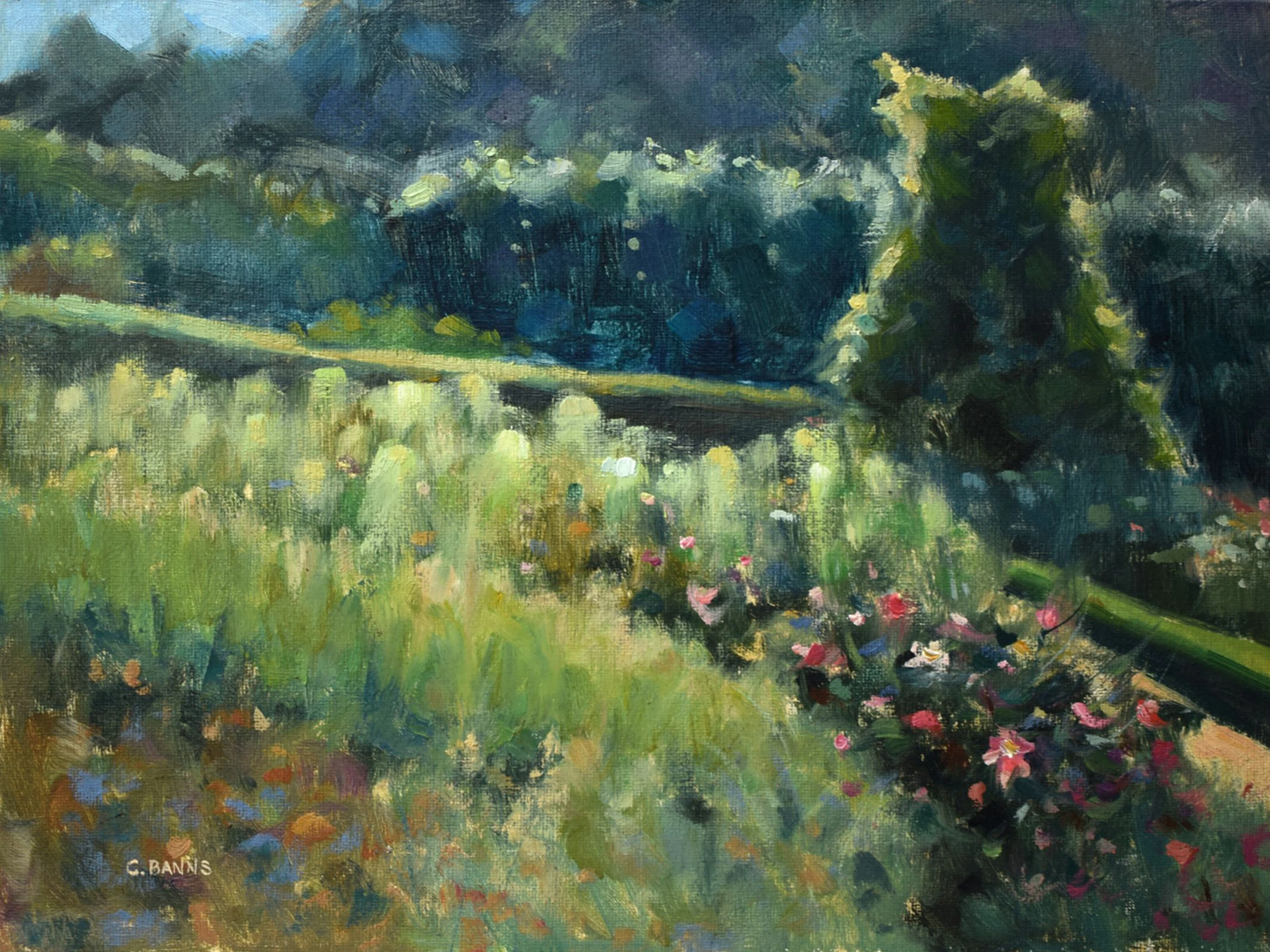 The Summer Gardens of Villandry Castle - Gav Banns