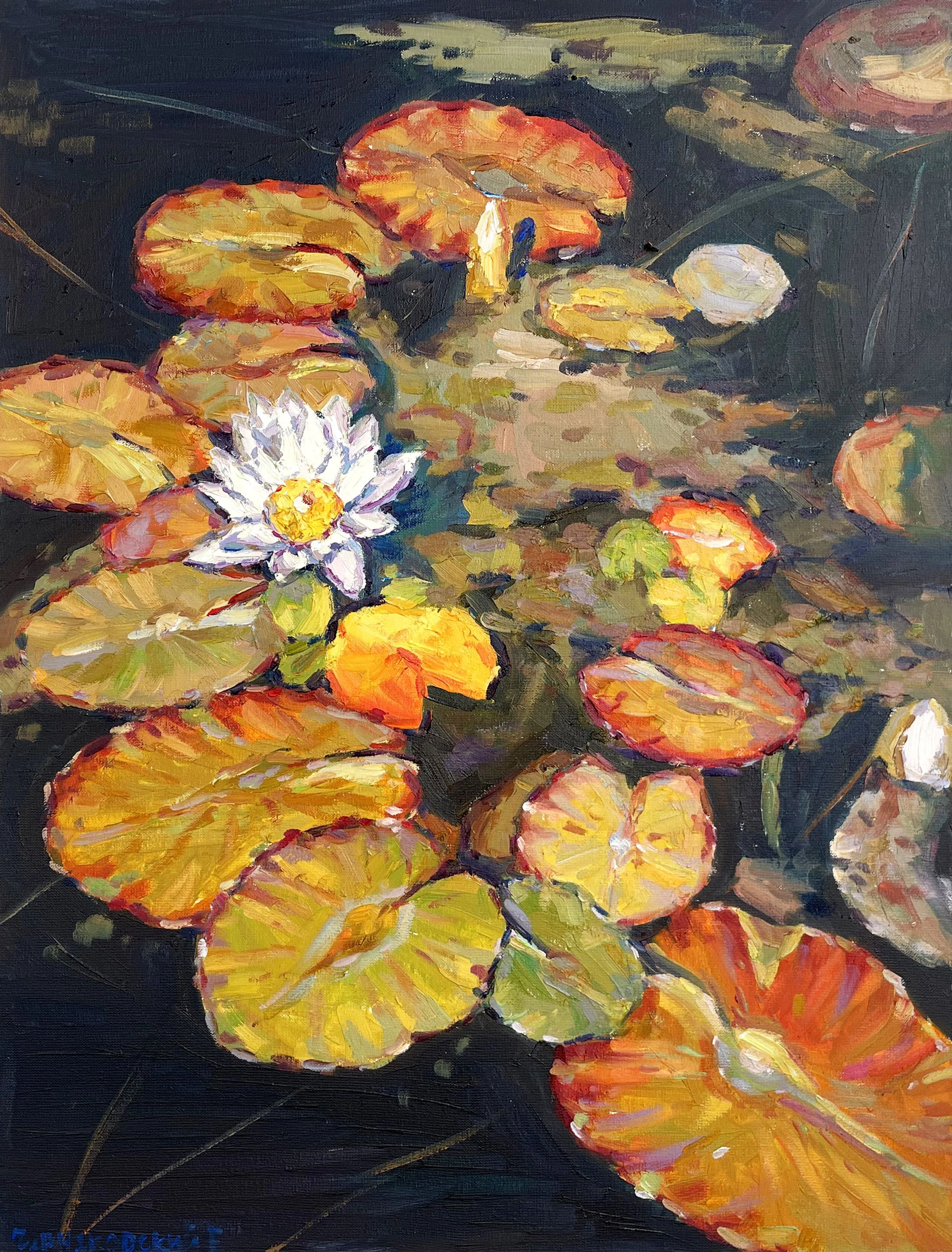 Water lily - Evgeny Chernyakovsky