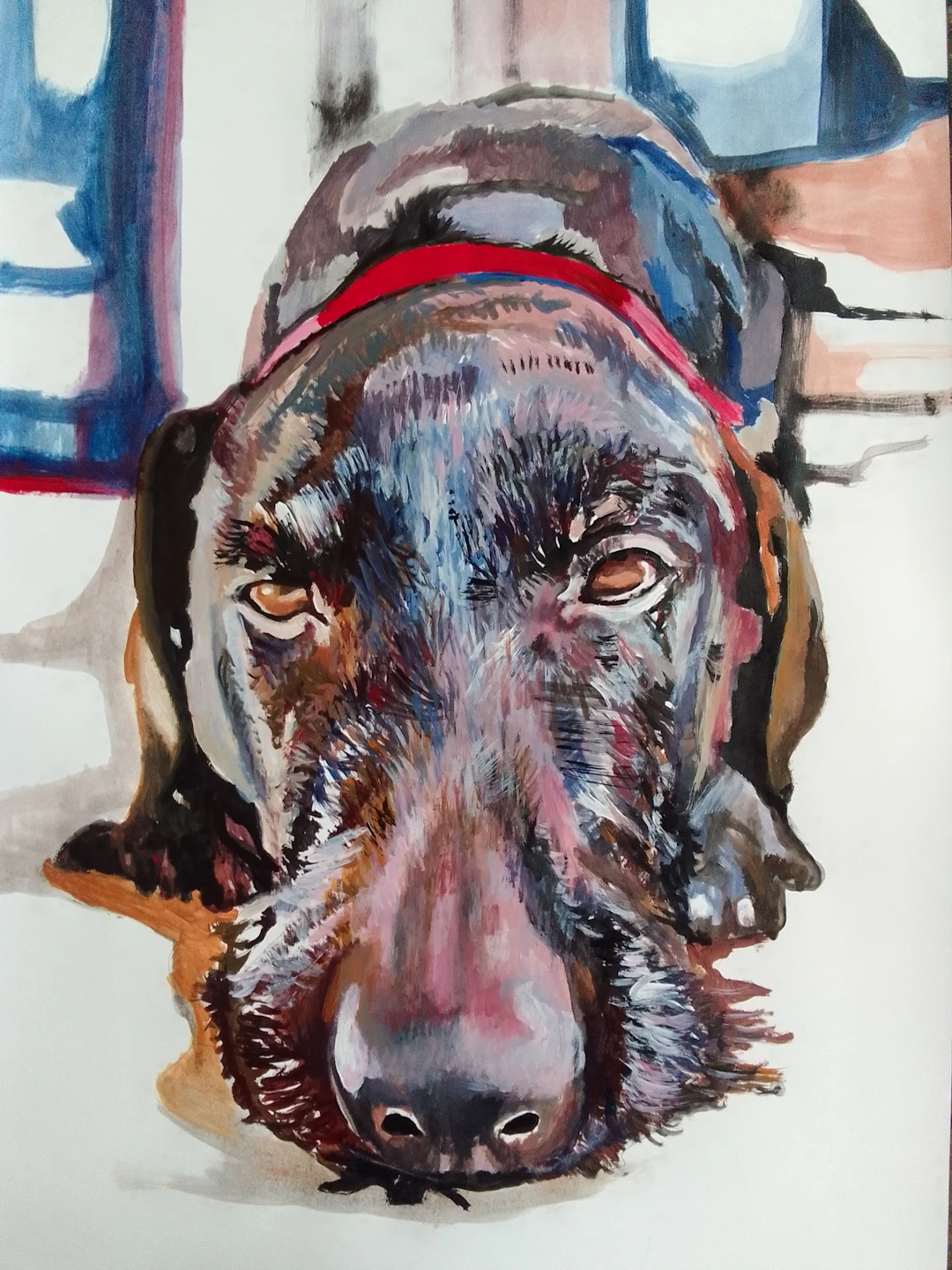 German wirehaired pointing - soso kumsiashvili