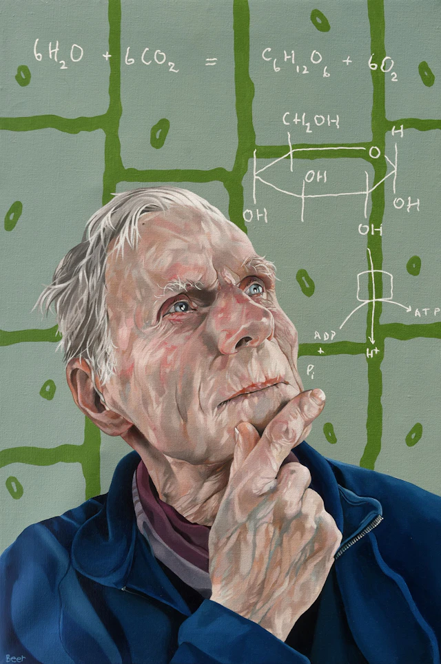 Formulae for life - jo beer