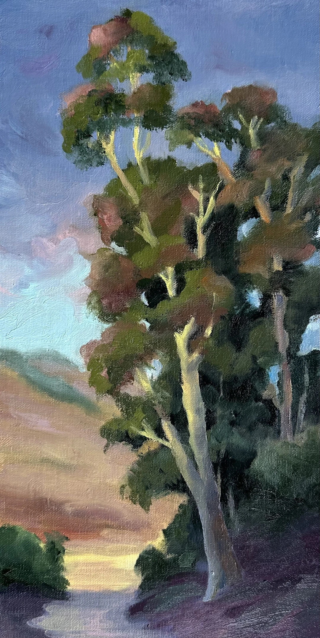 Cloudy Season - Grace Diehl