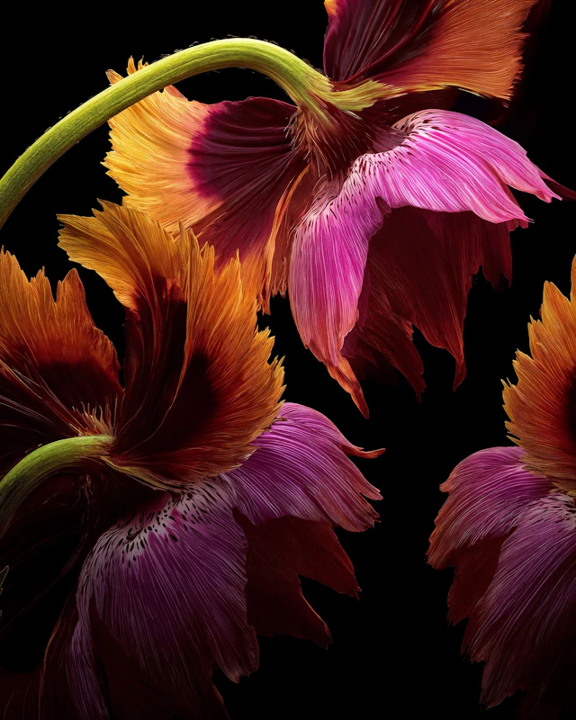 Velvet Embers - Michael Filonow