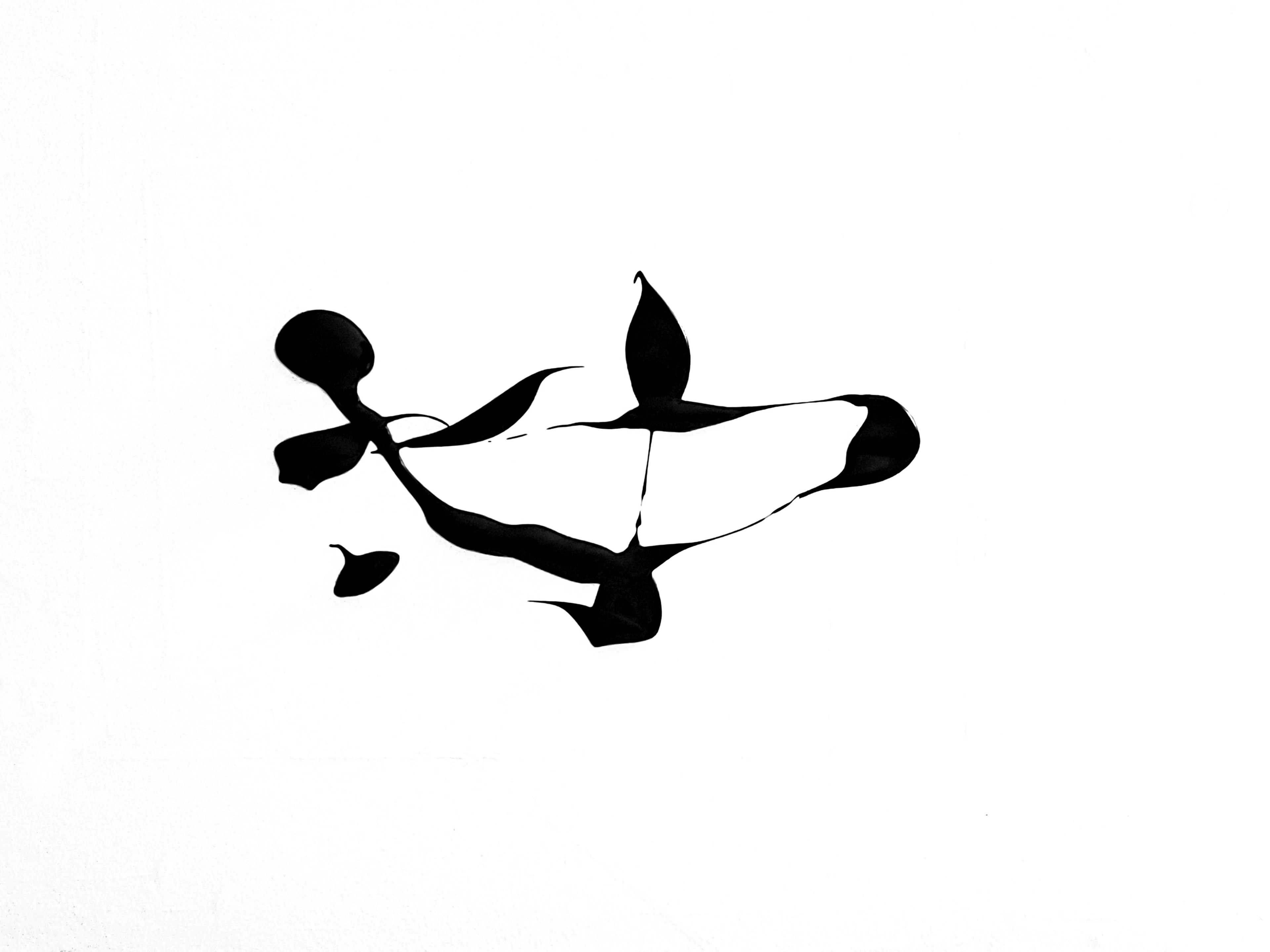 For the Birds - Newel Hunter
