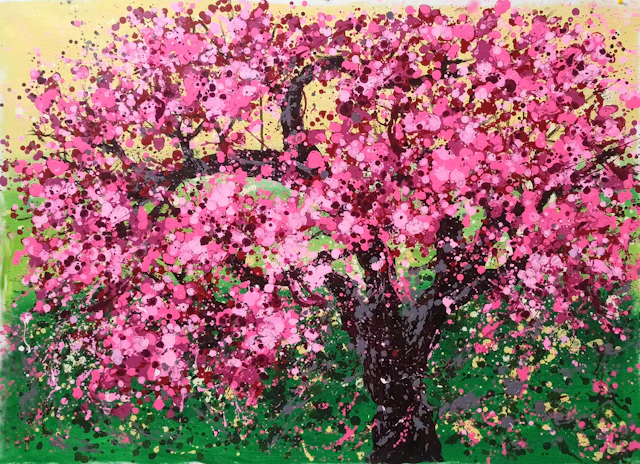 Cherry blossoms bloom - Hoang Phuong