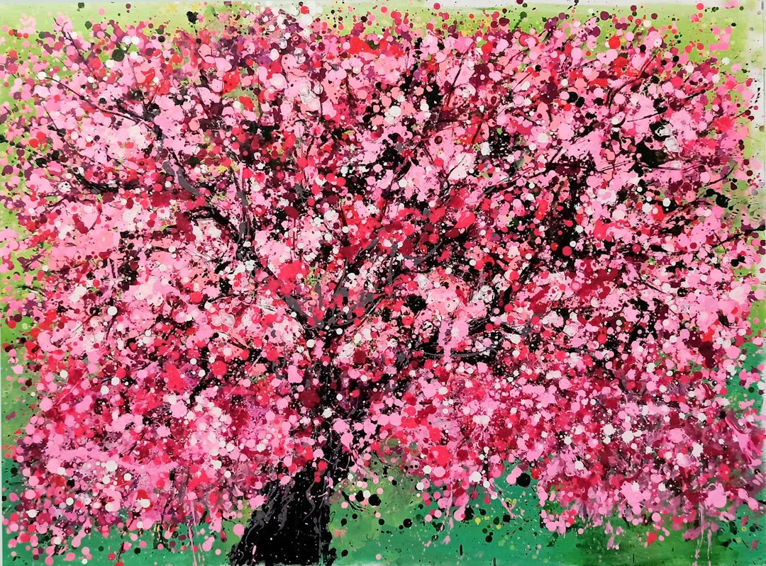CHERRY BLOSSOM - Hoang Phuong