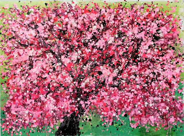 CHERRY BLOSSOM - Hoang Phuong