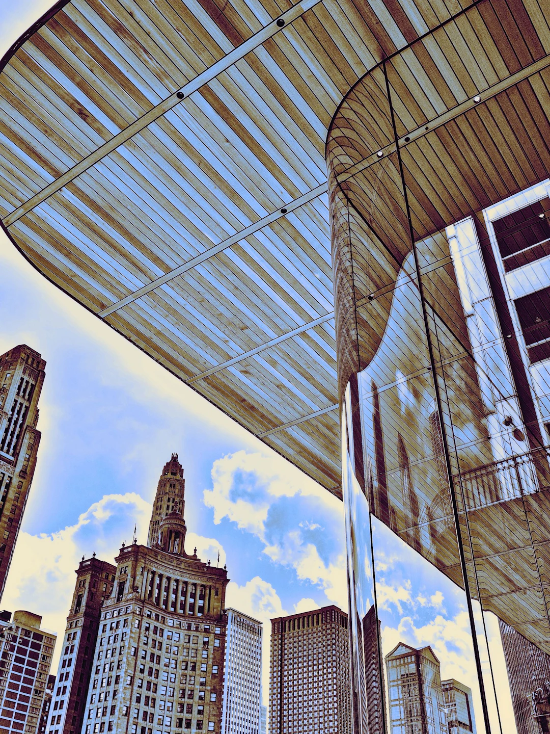 ROOF STORY Chicago IL - William Dey