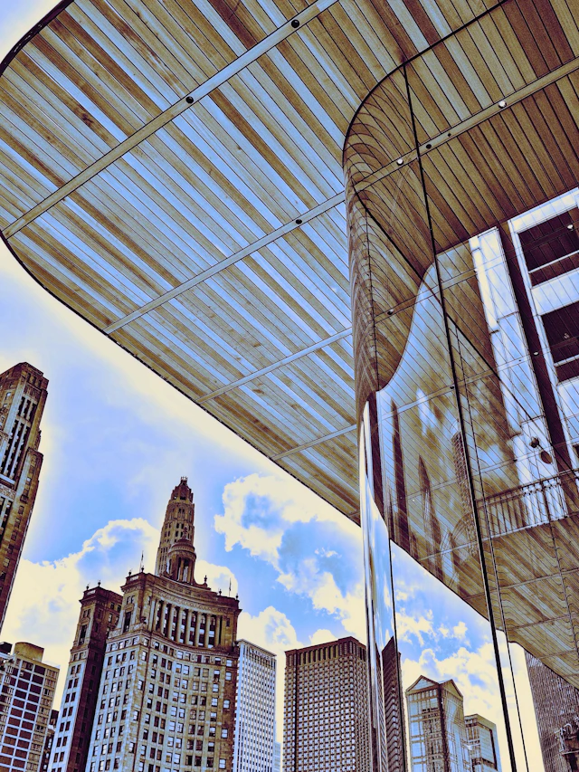ROOF STORY Chicago IL - William Dey